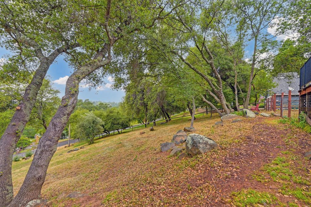 4531 Holly Drive