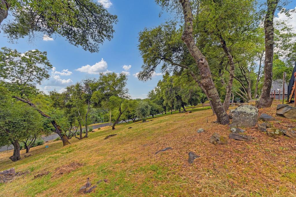 4531 Holly Drive