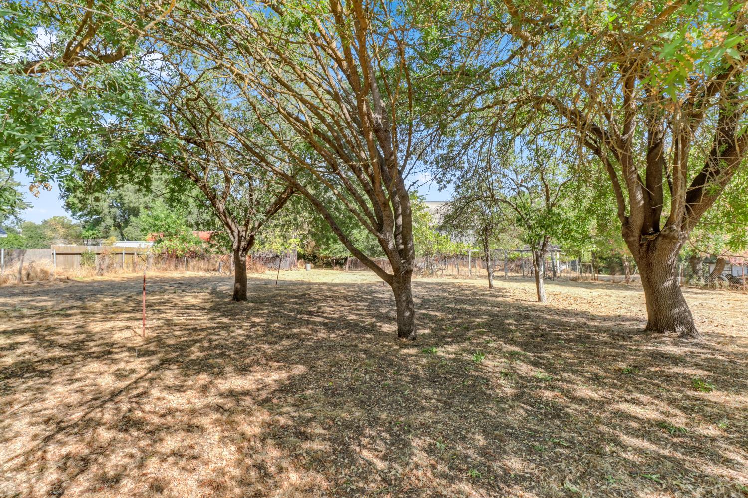 6225 Luna Lane