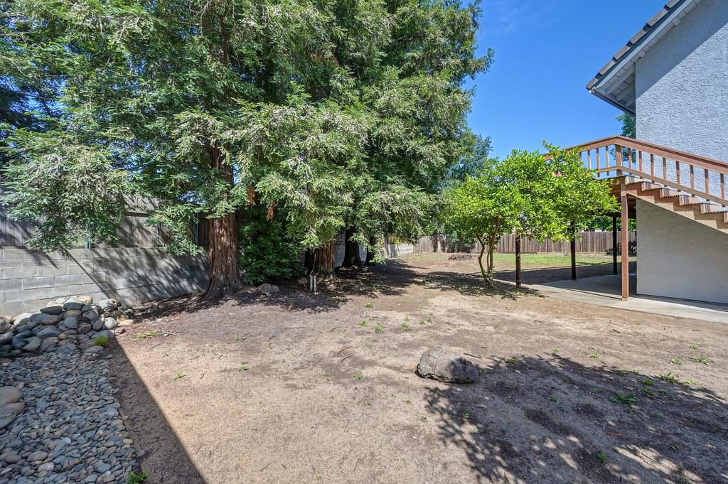 4124 Mindt Court