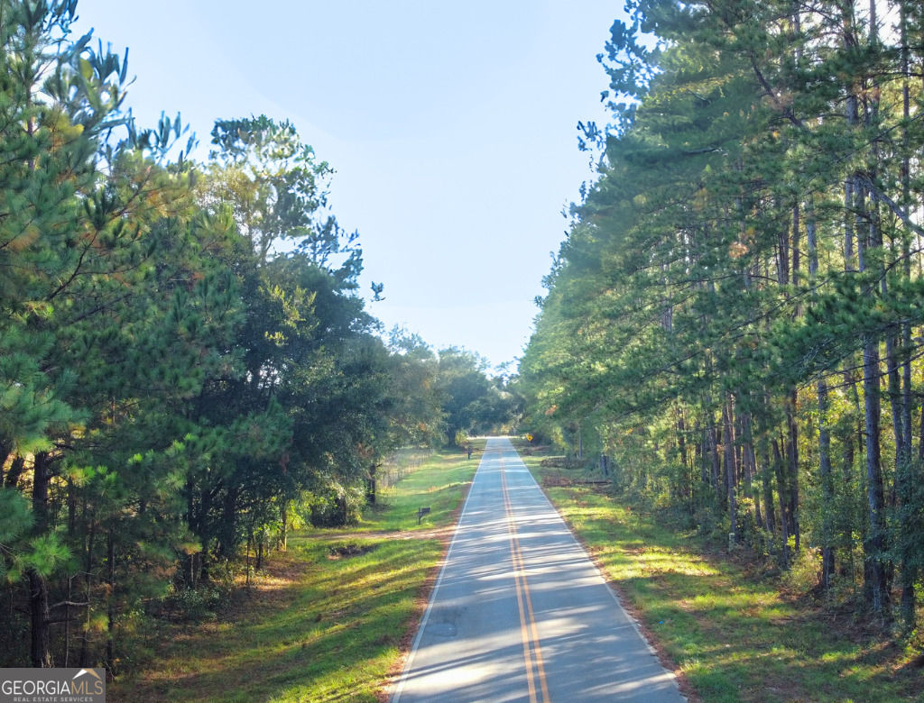 0 Mosley Road, Claxton