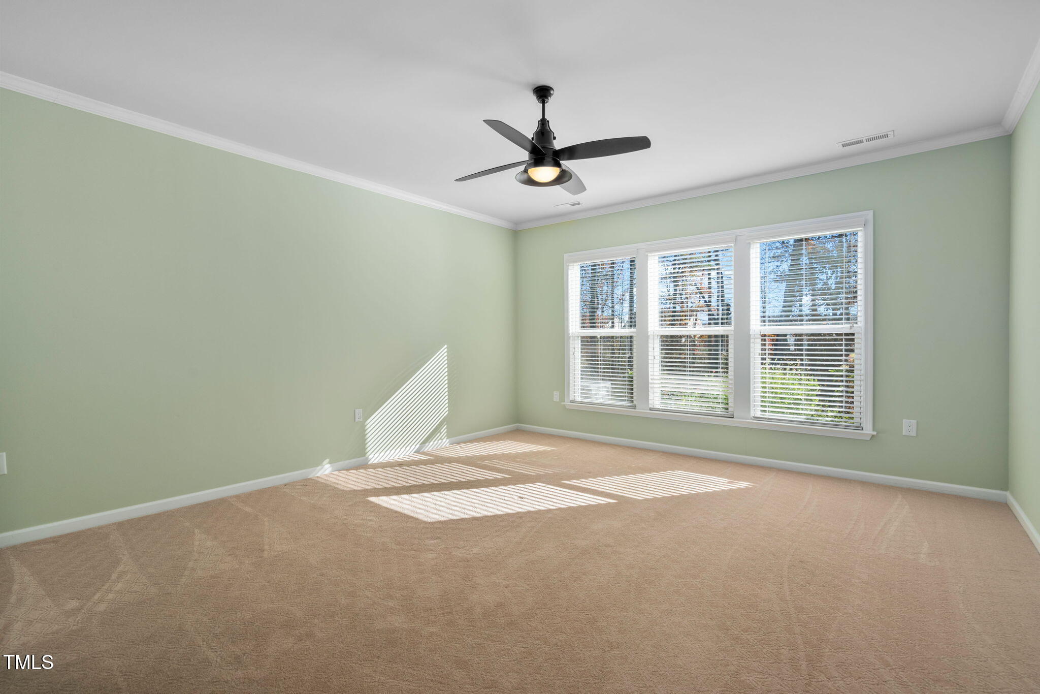 203 Ibis Lane