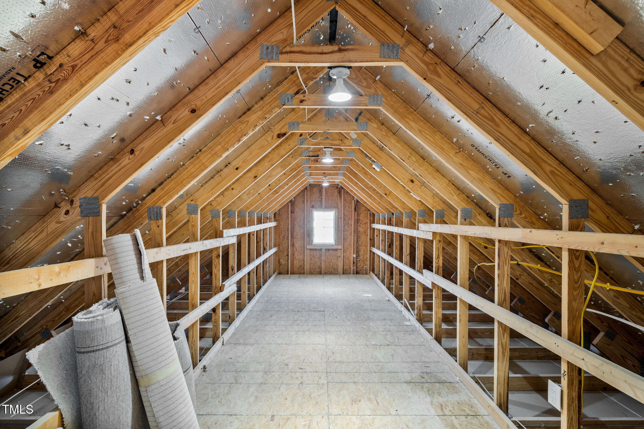 203 Ibis Lane