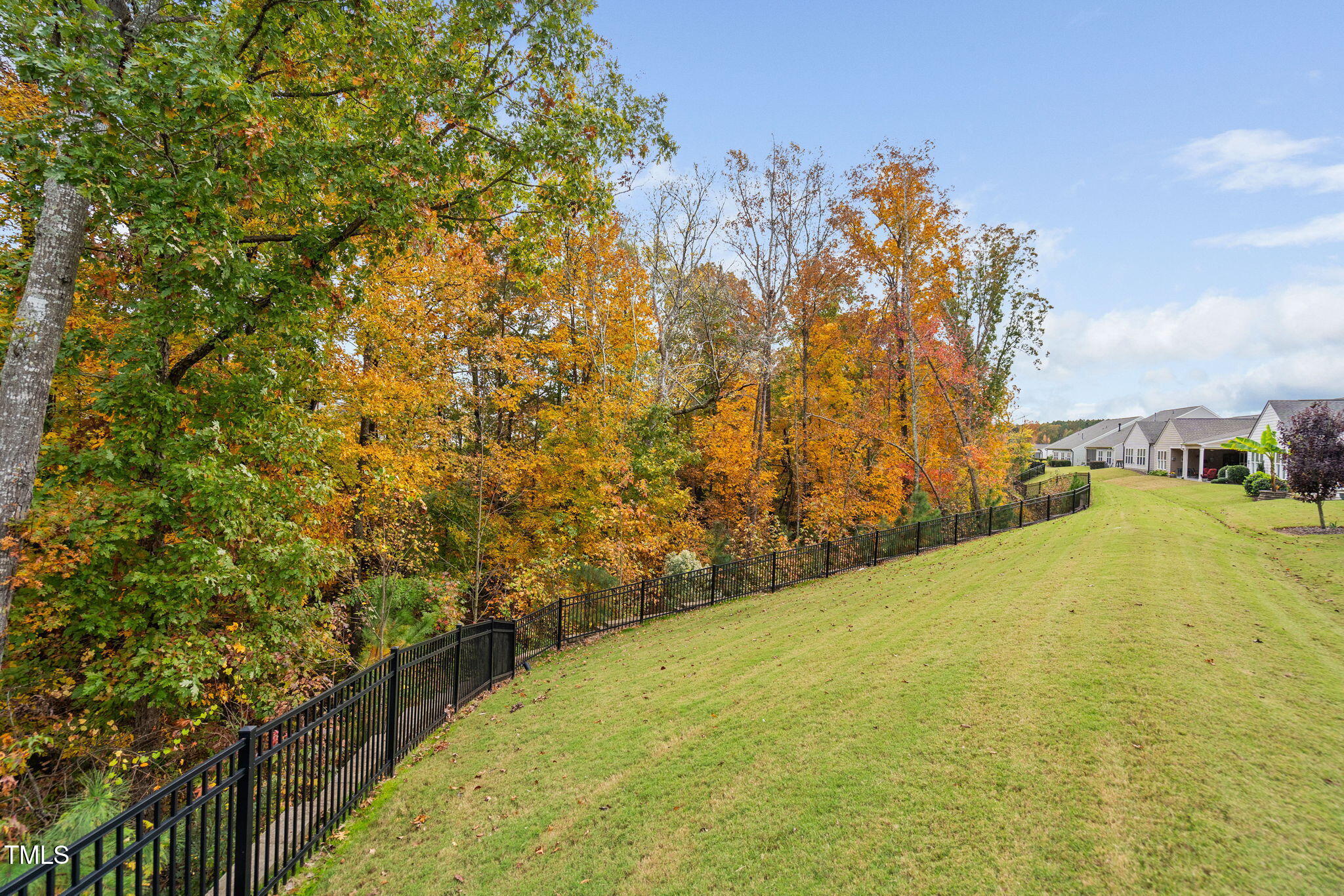 203 Ibis Lane