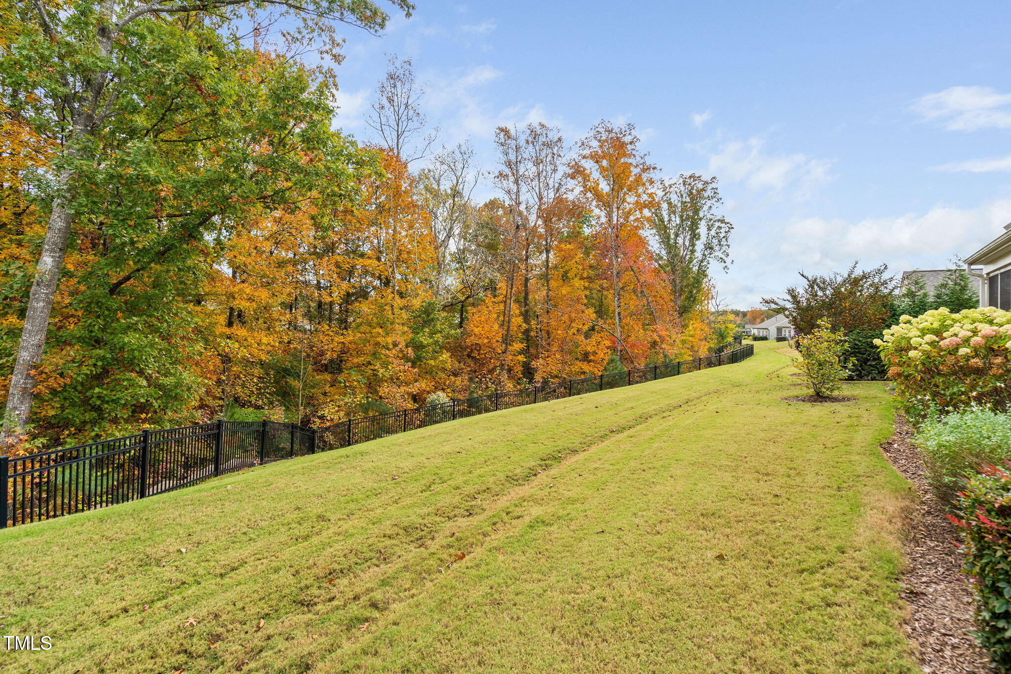 203 Ibis Lane