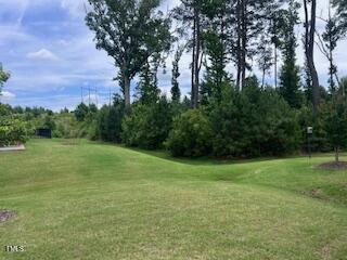 124 Currituck Lane