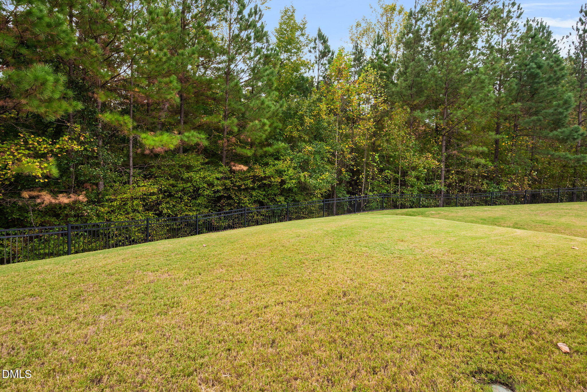 1216 Horne Creek Drive