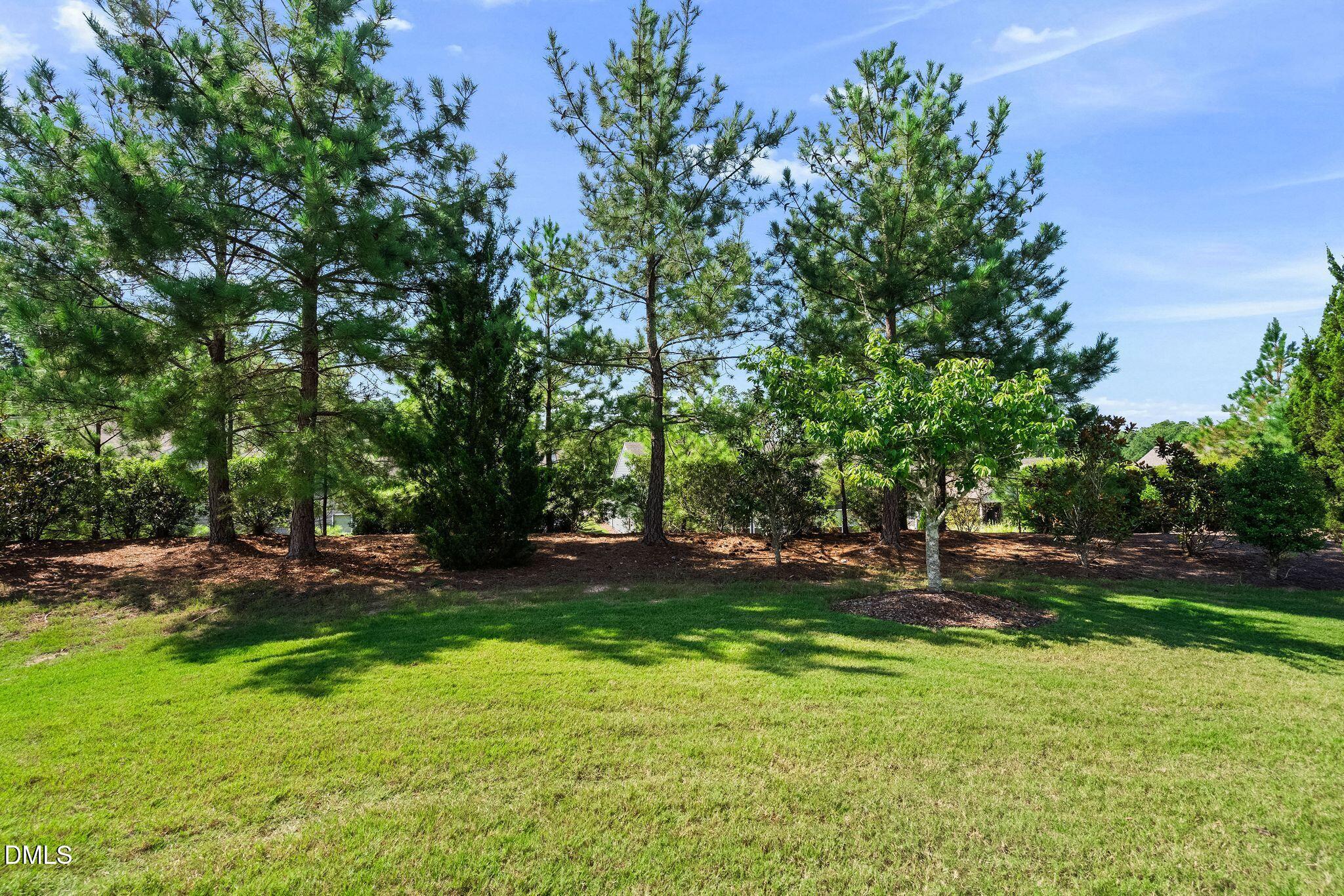 209 Rosedale Creek Drive