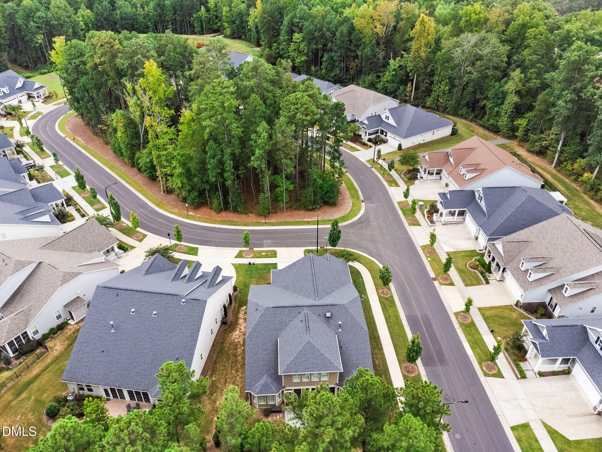 Aerial view of homes along curving streets around a wooded neighborhood green space.