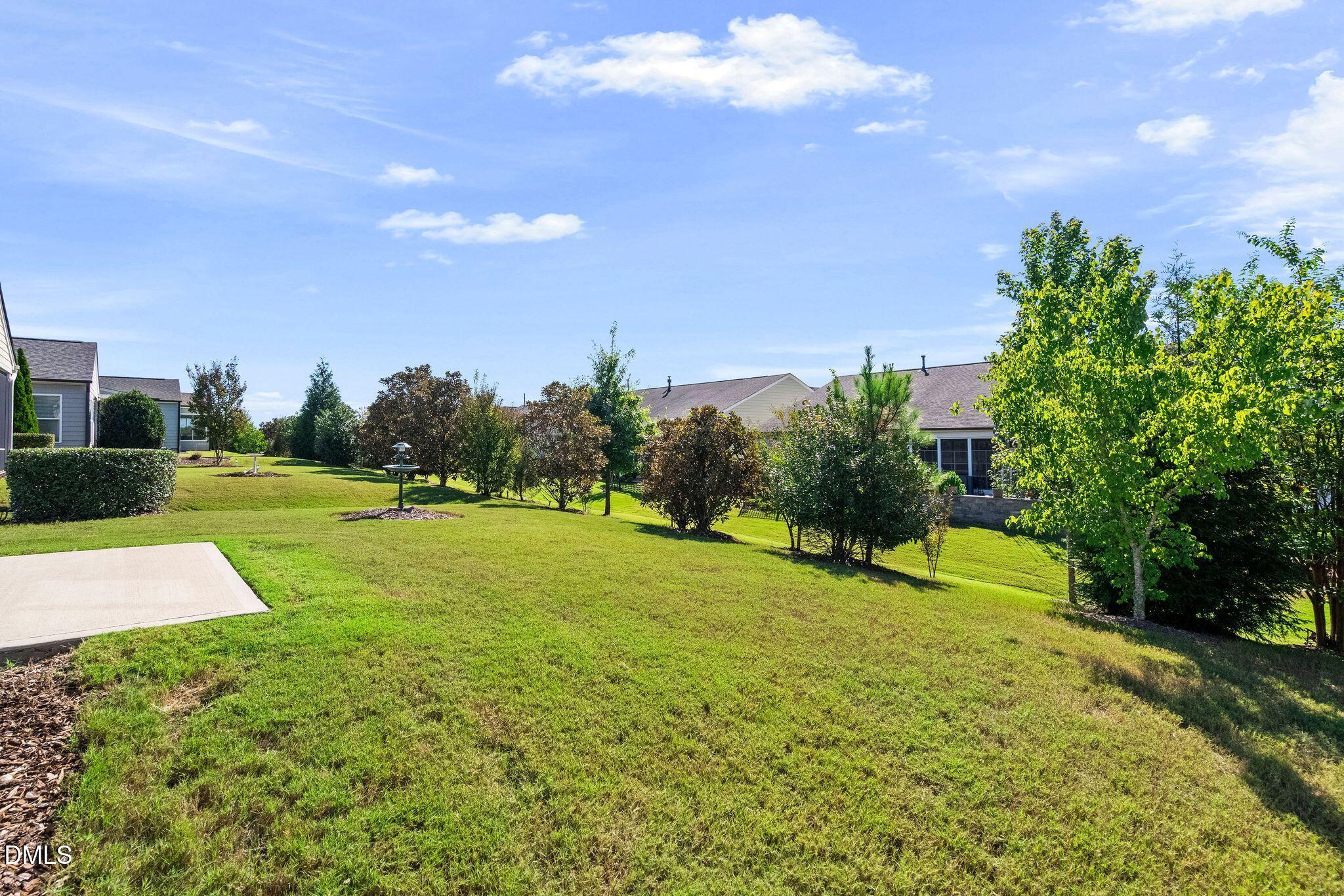 Sloping backyard lawn bordered by shrubs and trees, with a birdbath and neighboring homes.