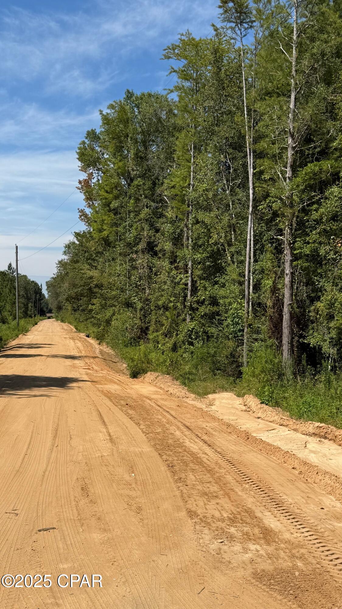 Sandy dirt road with tire tracks beside dense woodland and utility poles.