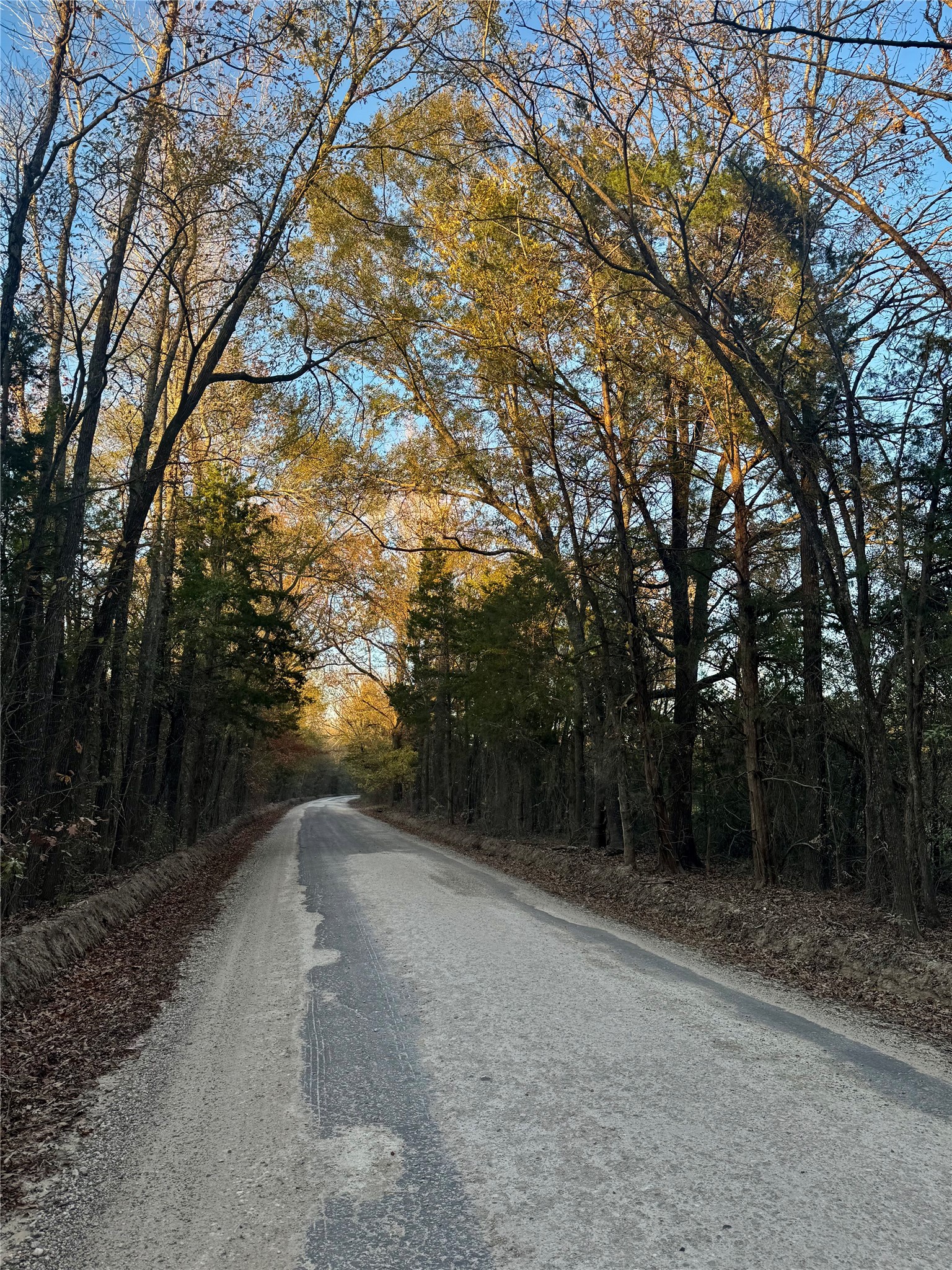 0000 County Road 4307