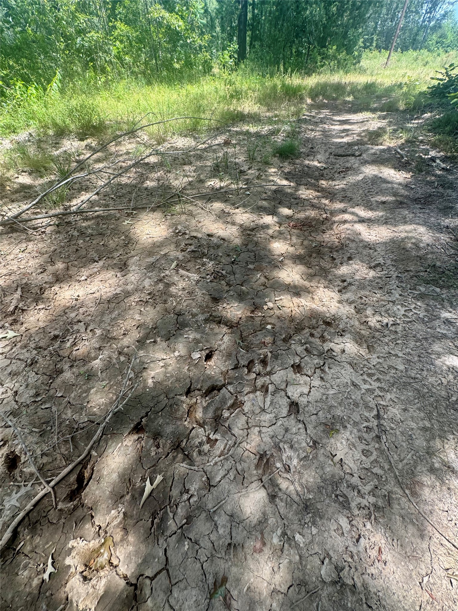 0000 County Road 4307