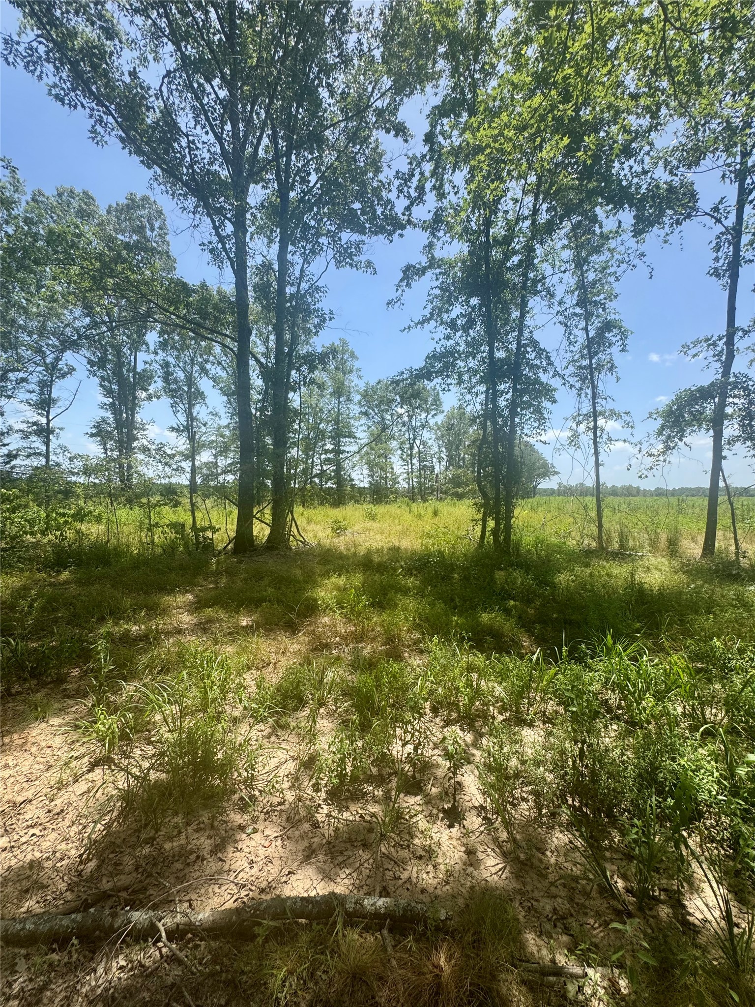 0000 County Road 4307