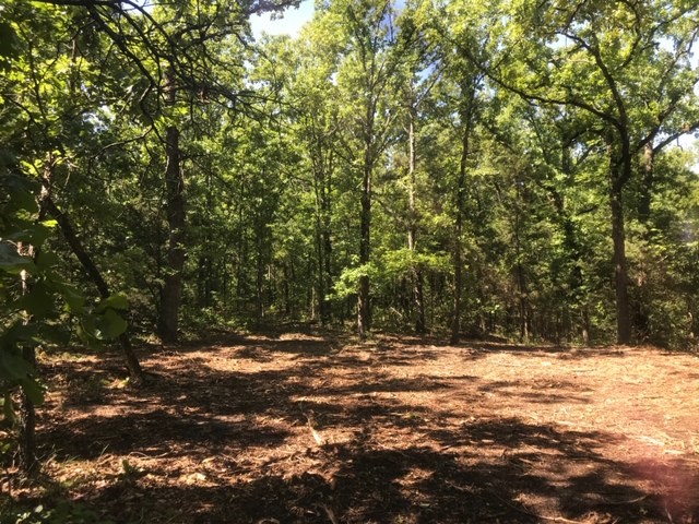 0000 County Road 4307