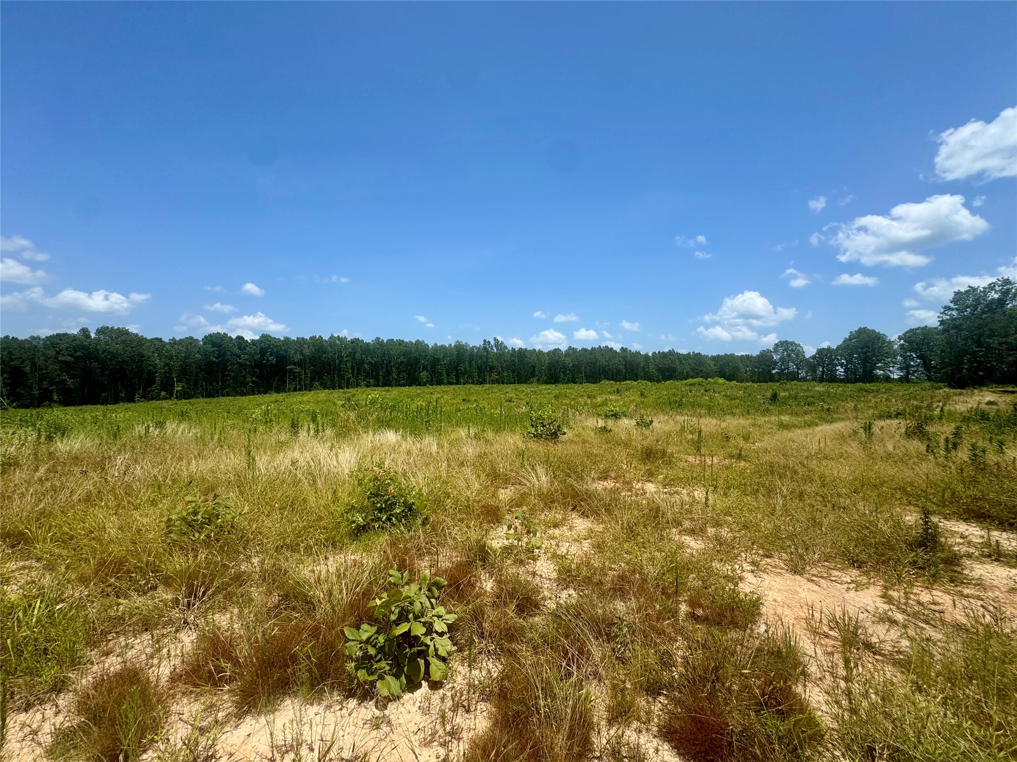 0000 County Road 4307