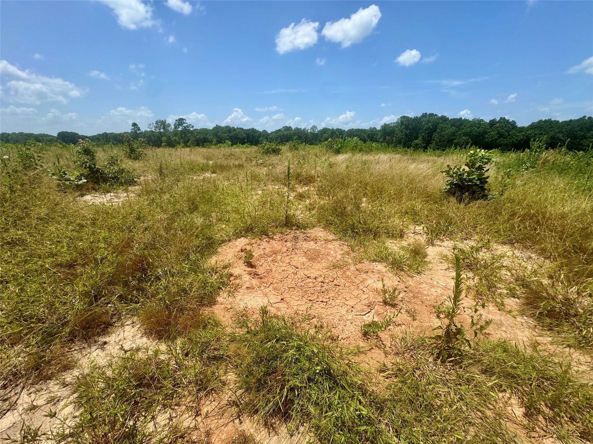 0000 County Road 4307