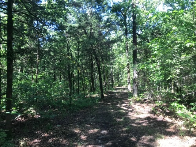 0000 County Road 4307