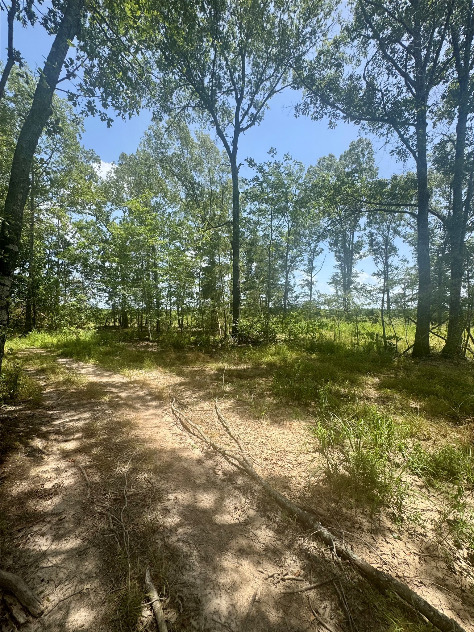 0000 County Road 4307