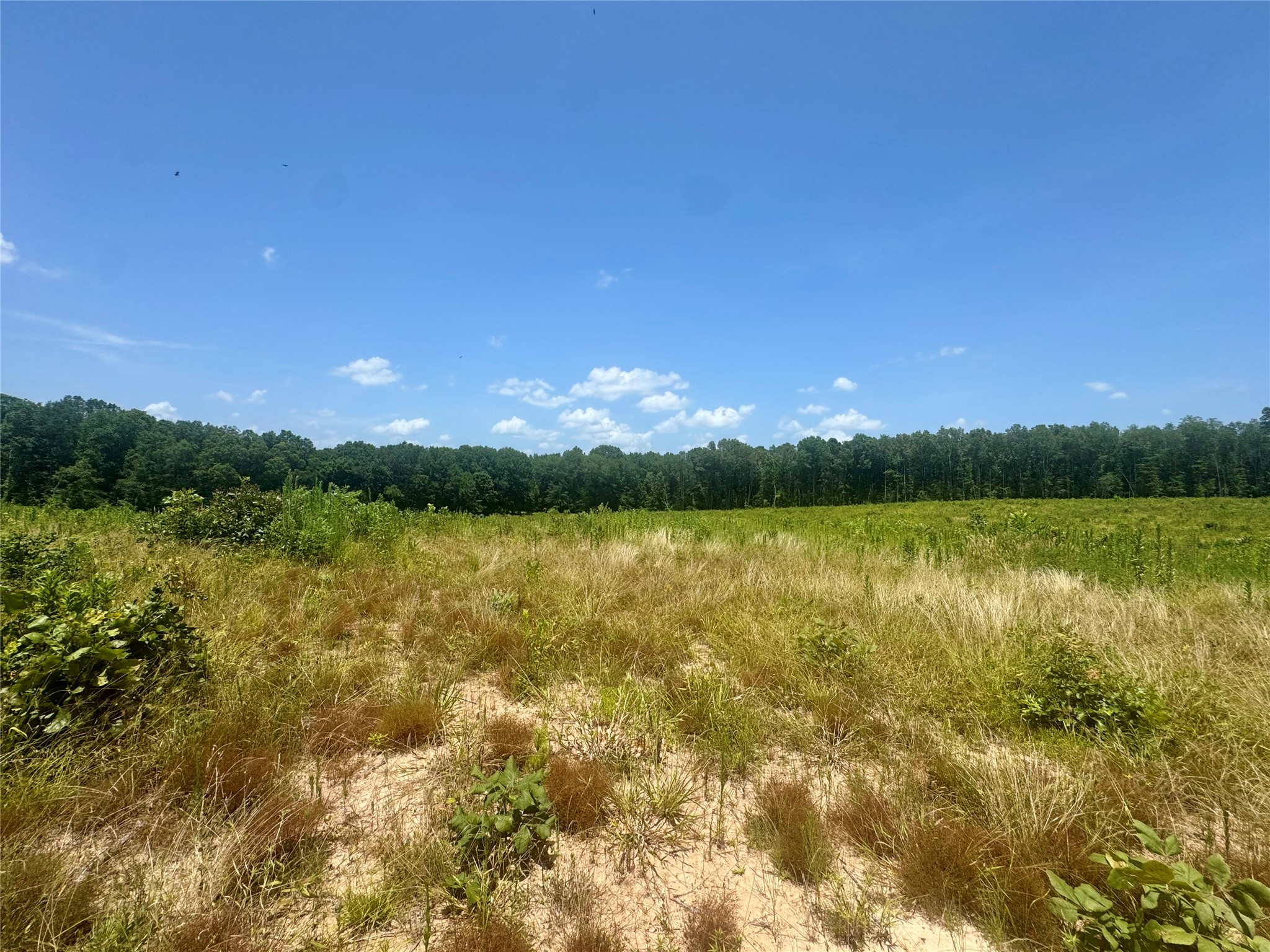 0000 County Road 4307