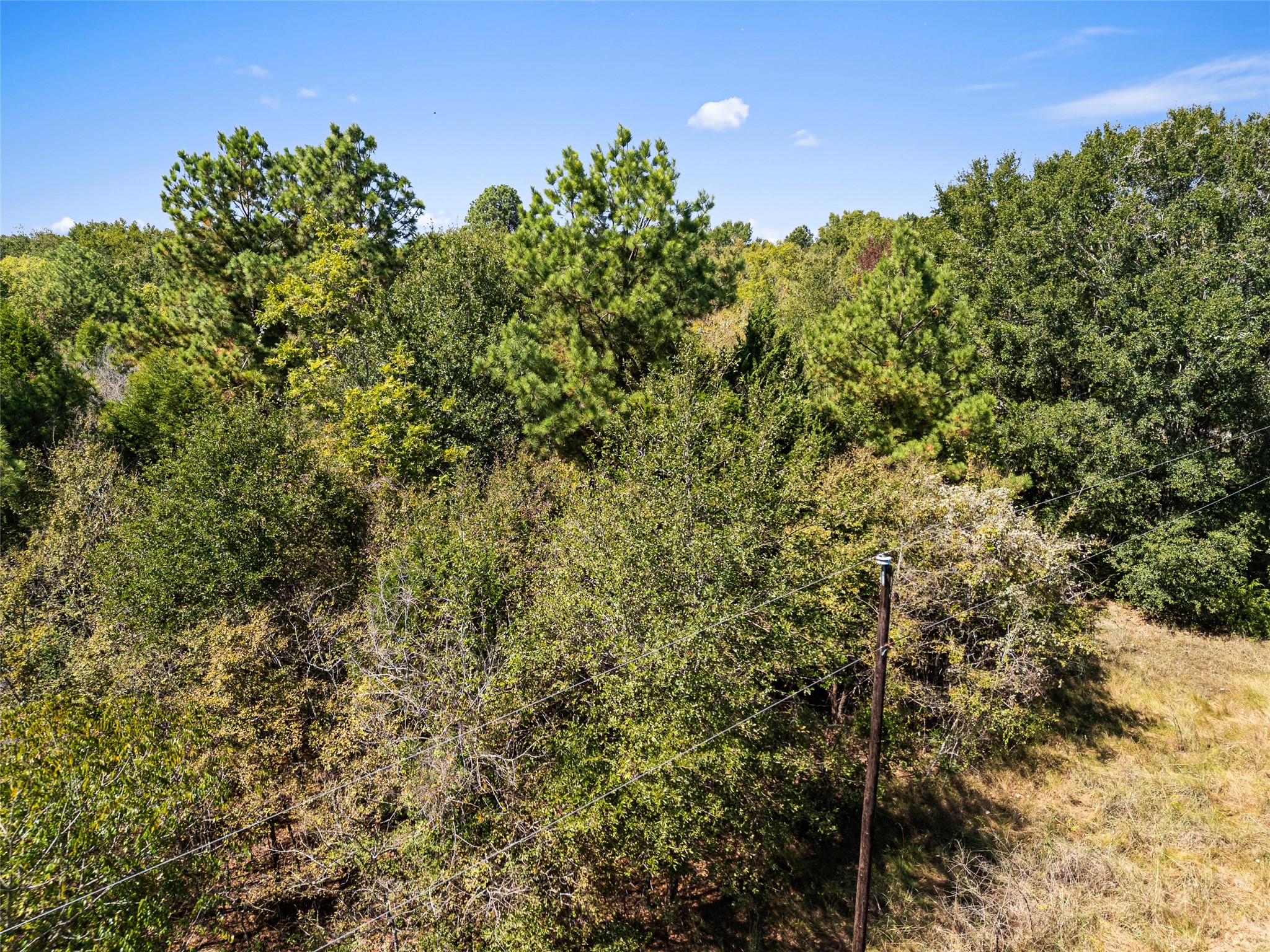 000 An County Road 2915