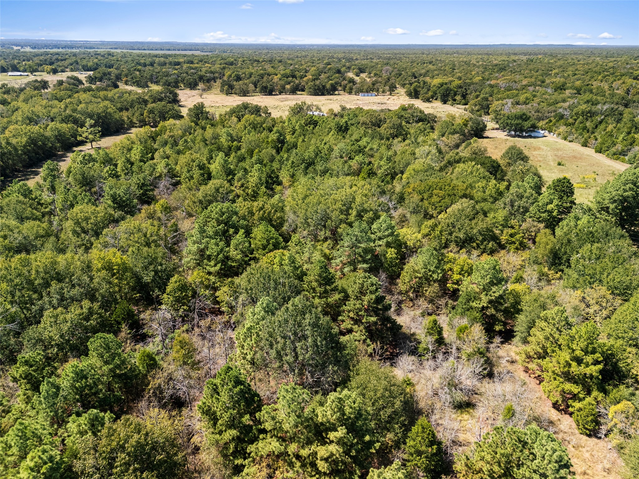 000 An County Road 2915