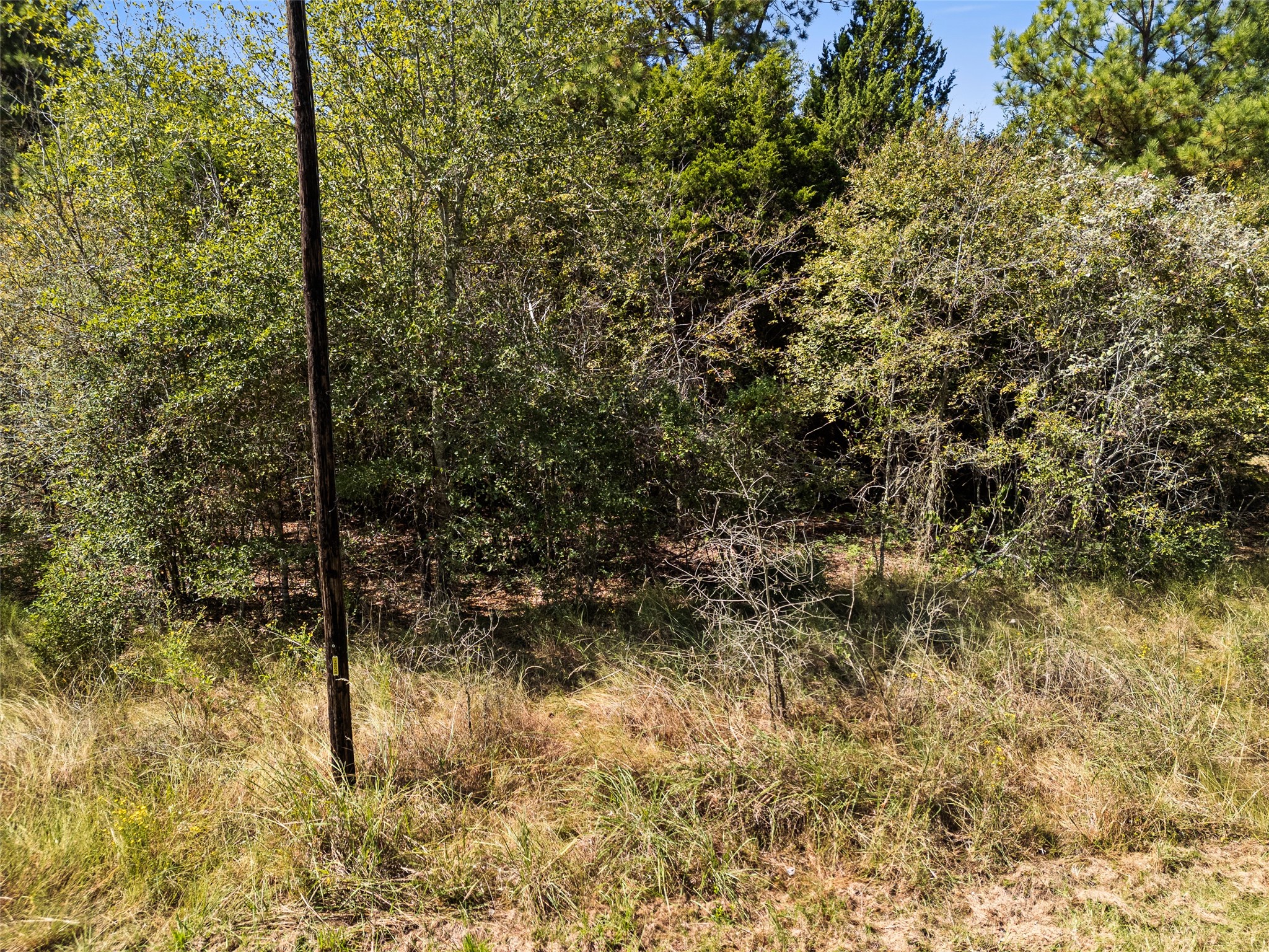 000 An County Road 2915