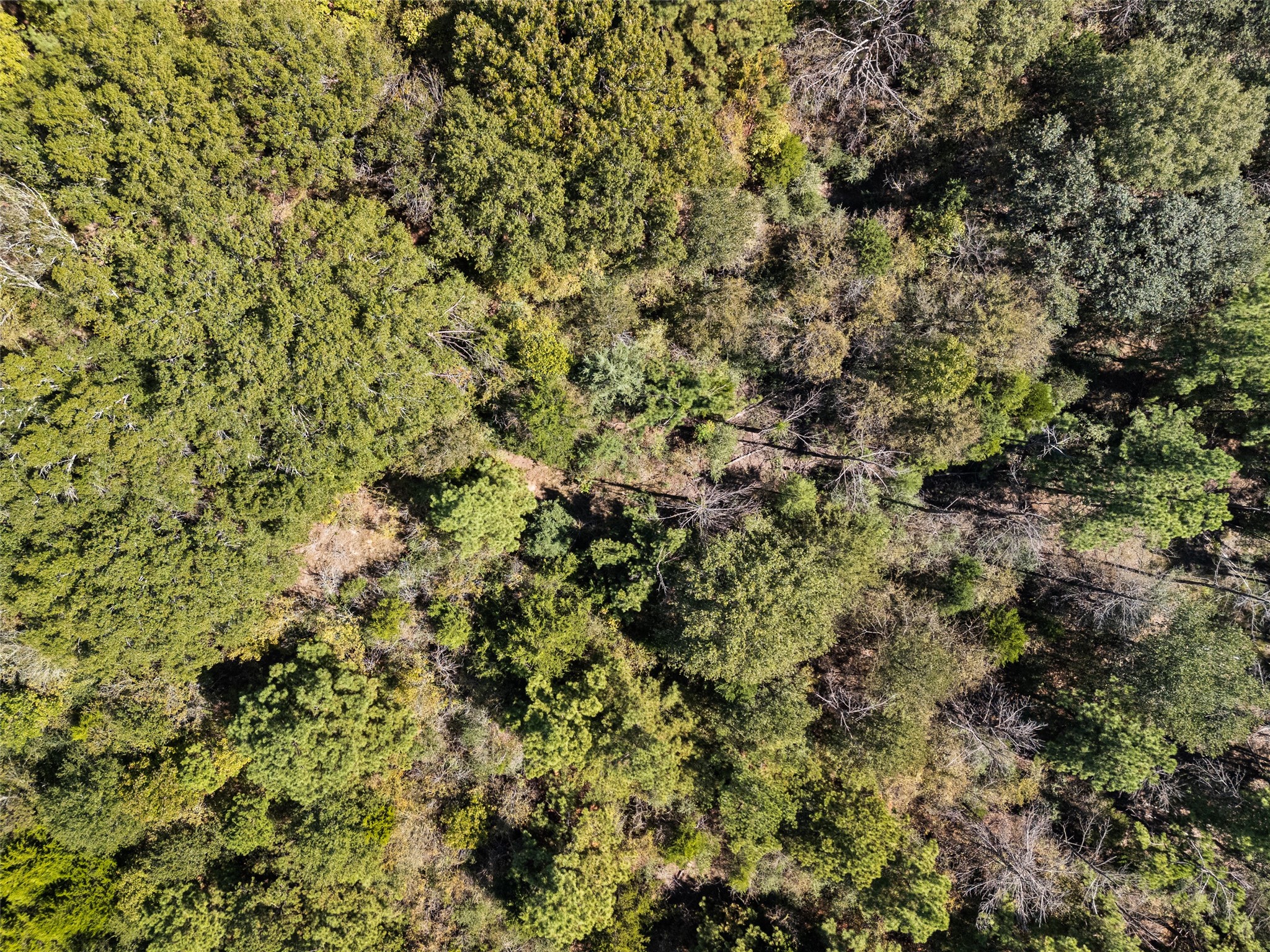 000 An County Road 2915