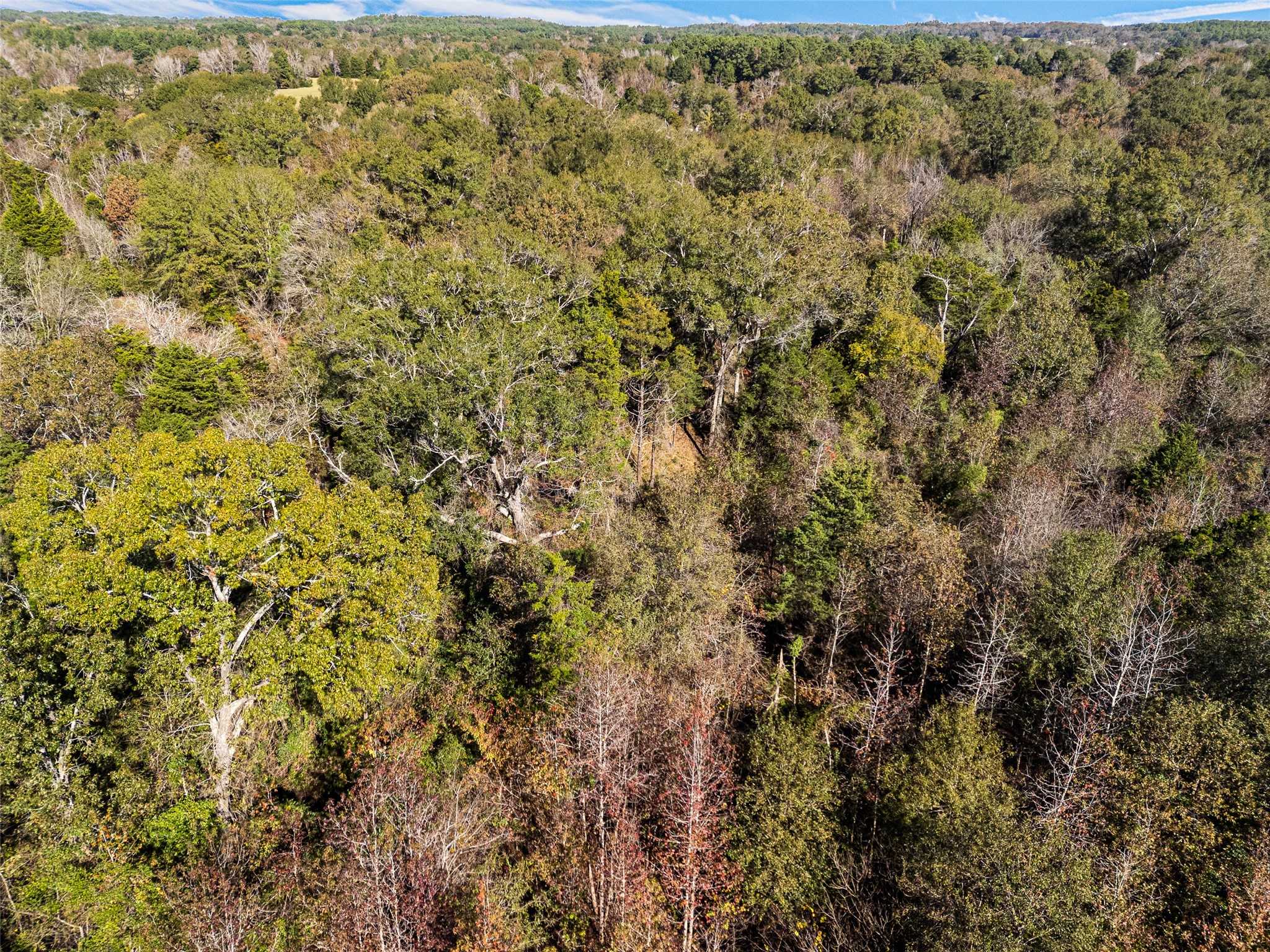 TBD VZ County Road 4815