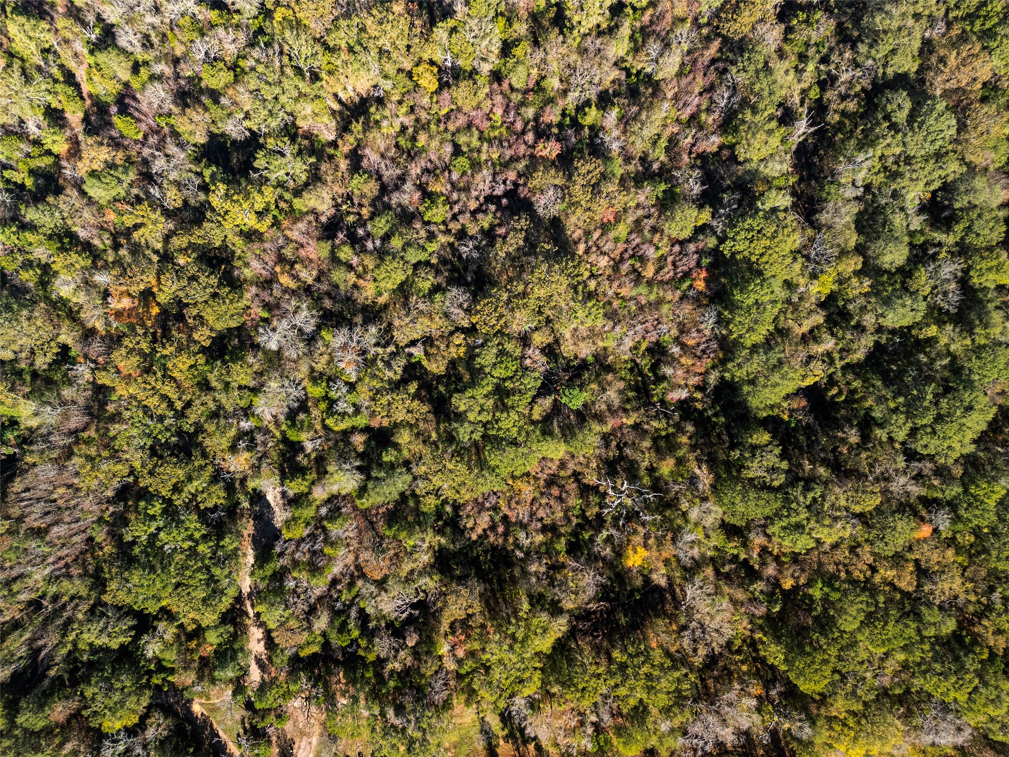 TBD VZ County Road 4815