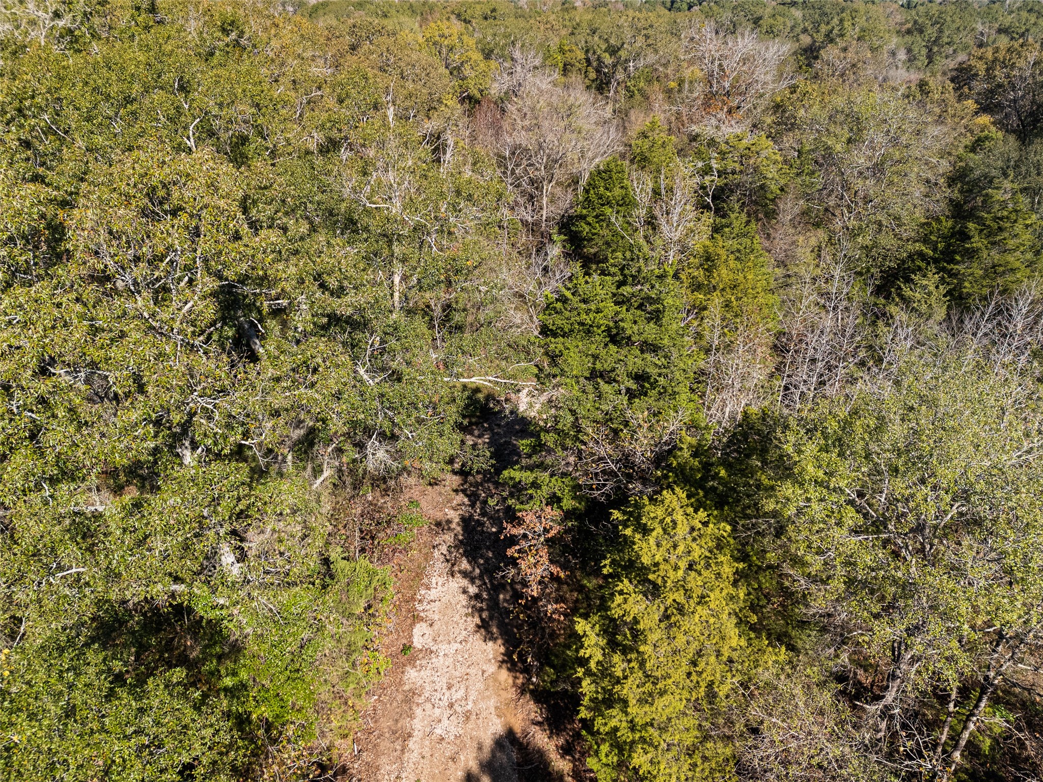 TBD VZ County Road 4815