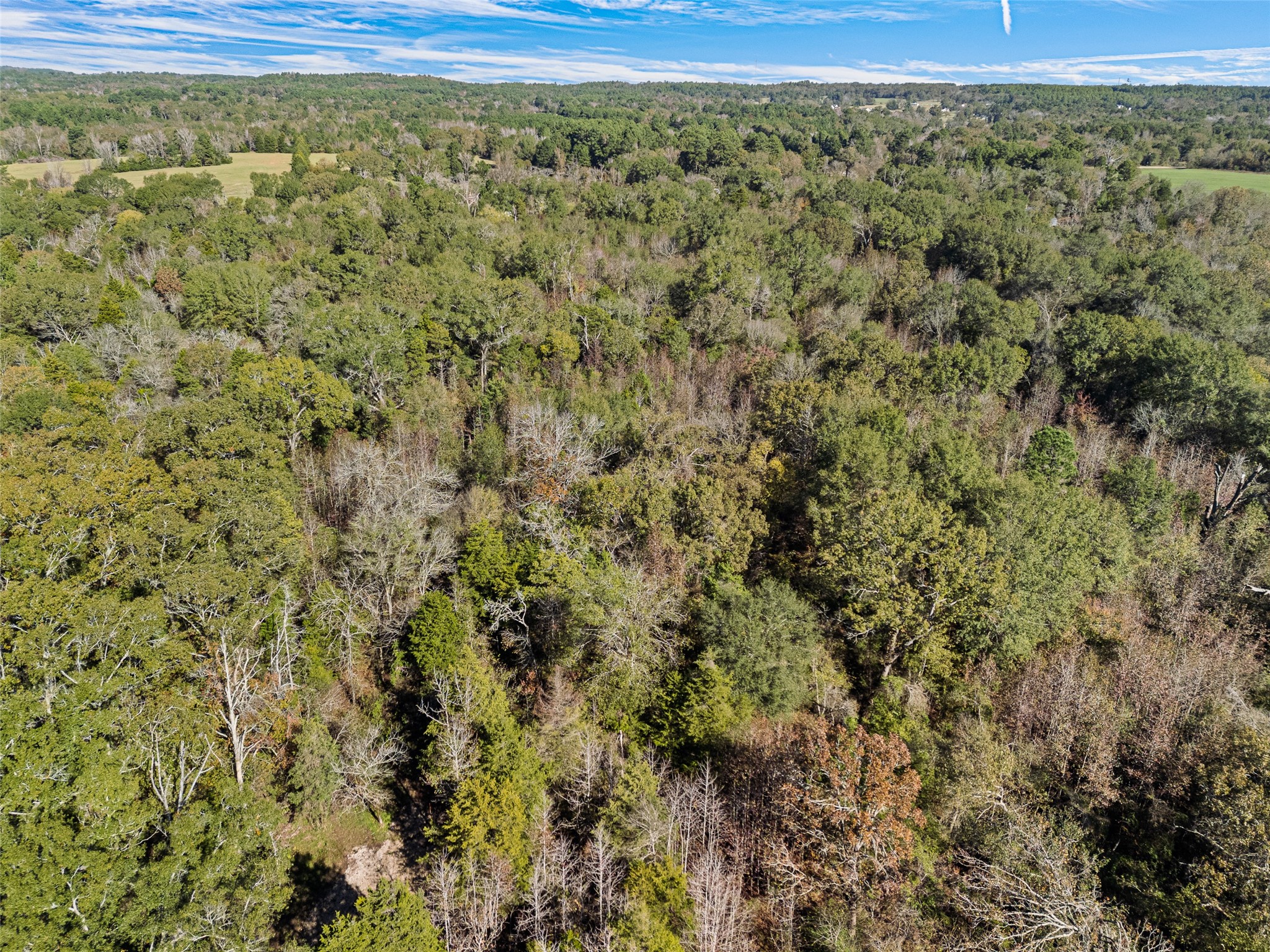 TBD VZ County Road 4815