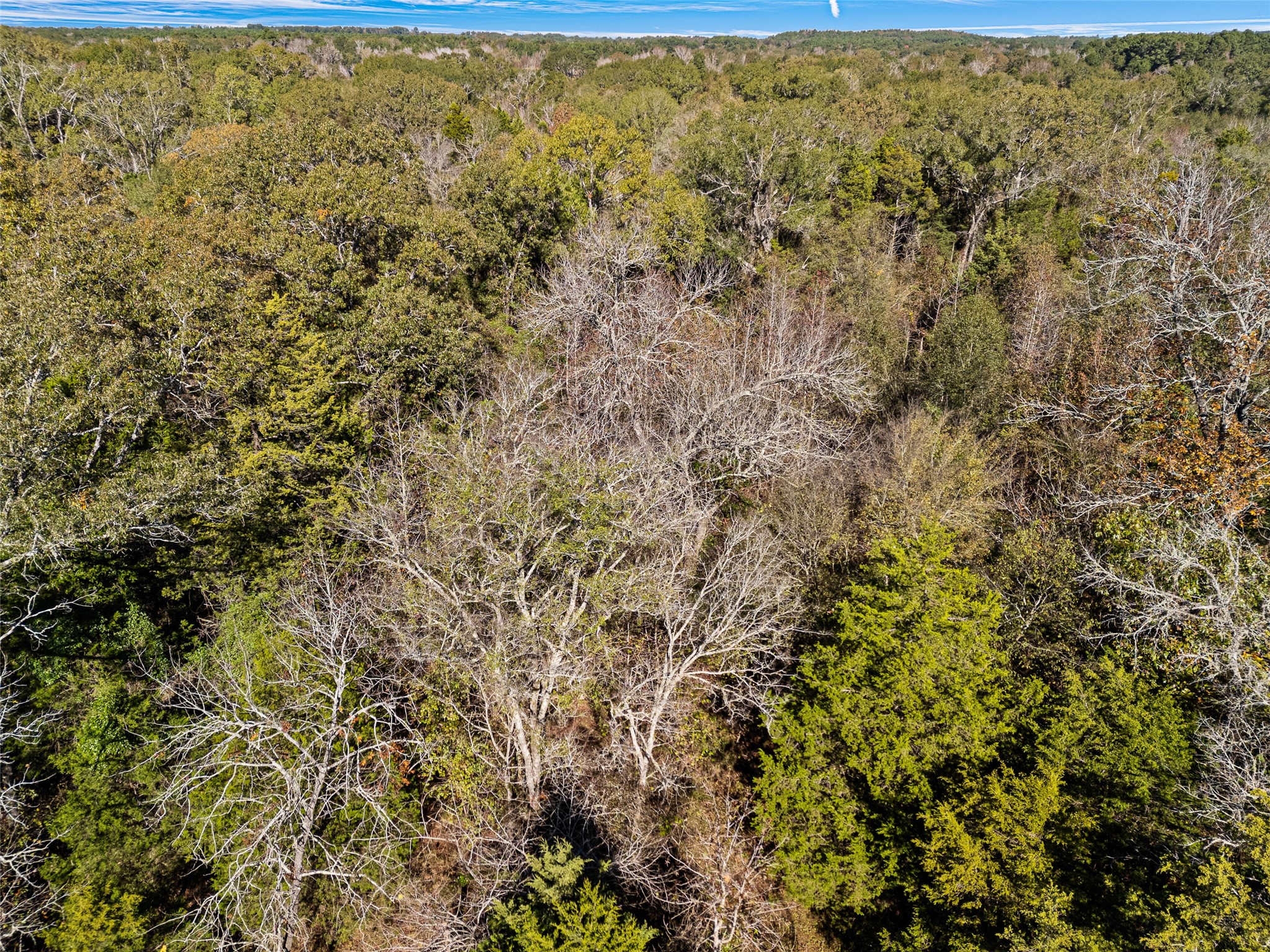 TBD VZ County Road 4815