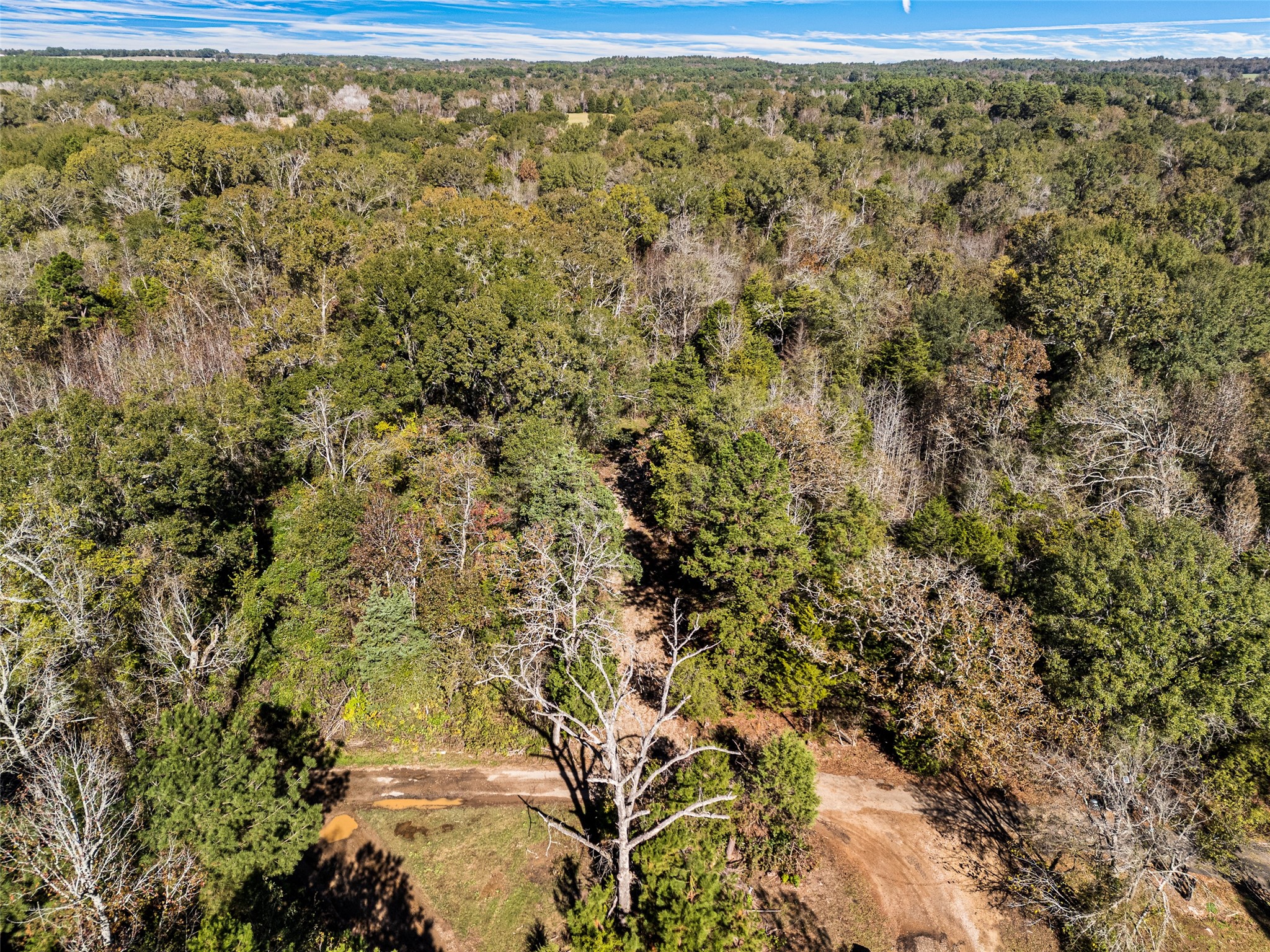 TBD VZ County Road 4815