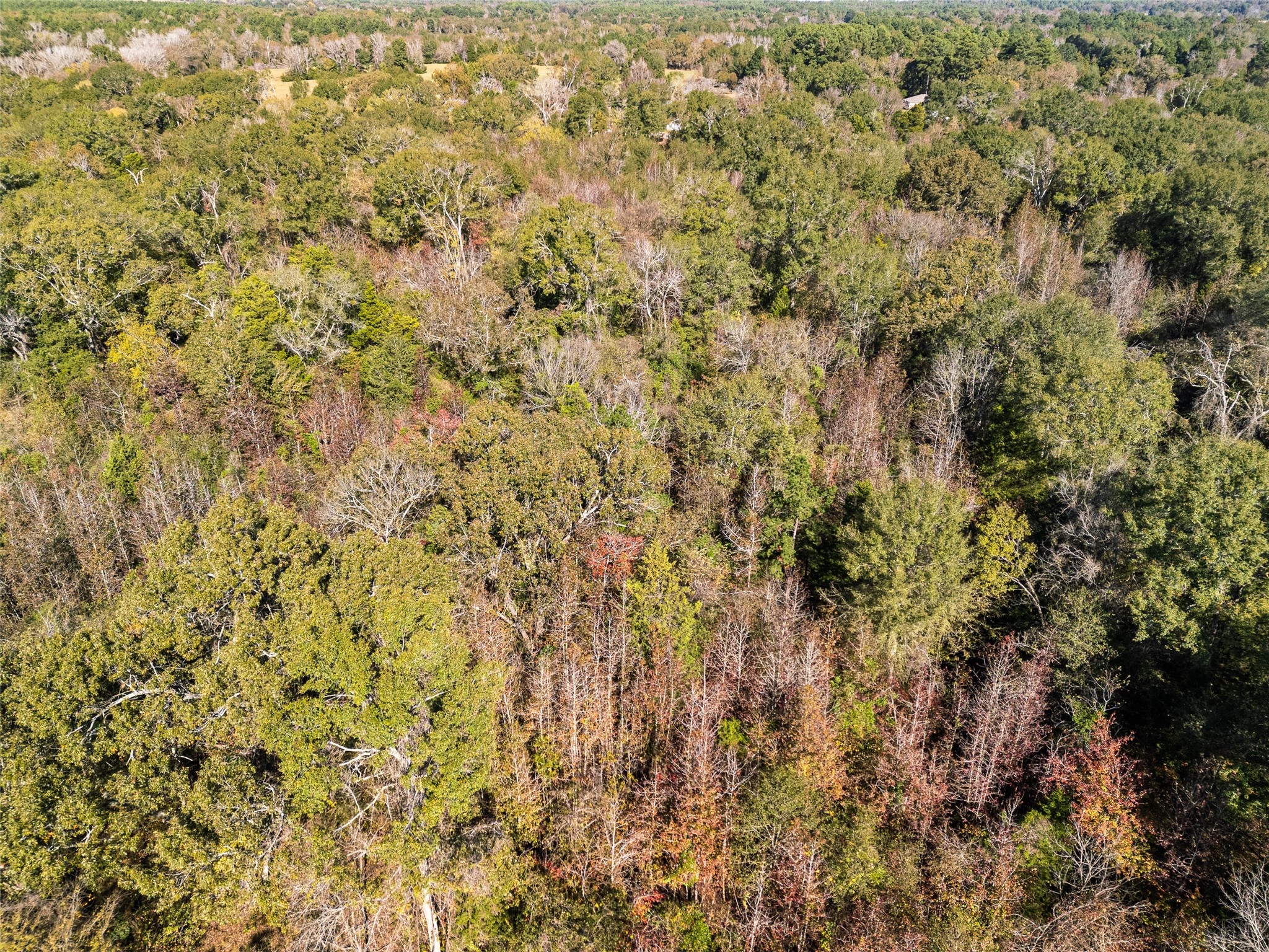 TBD VZ County Road 4815