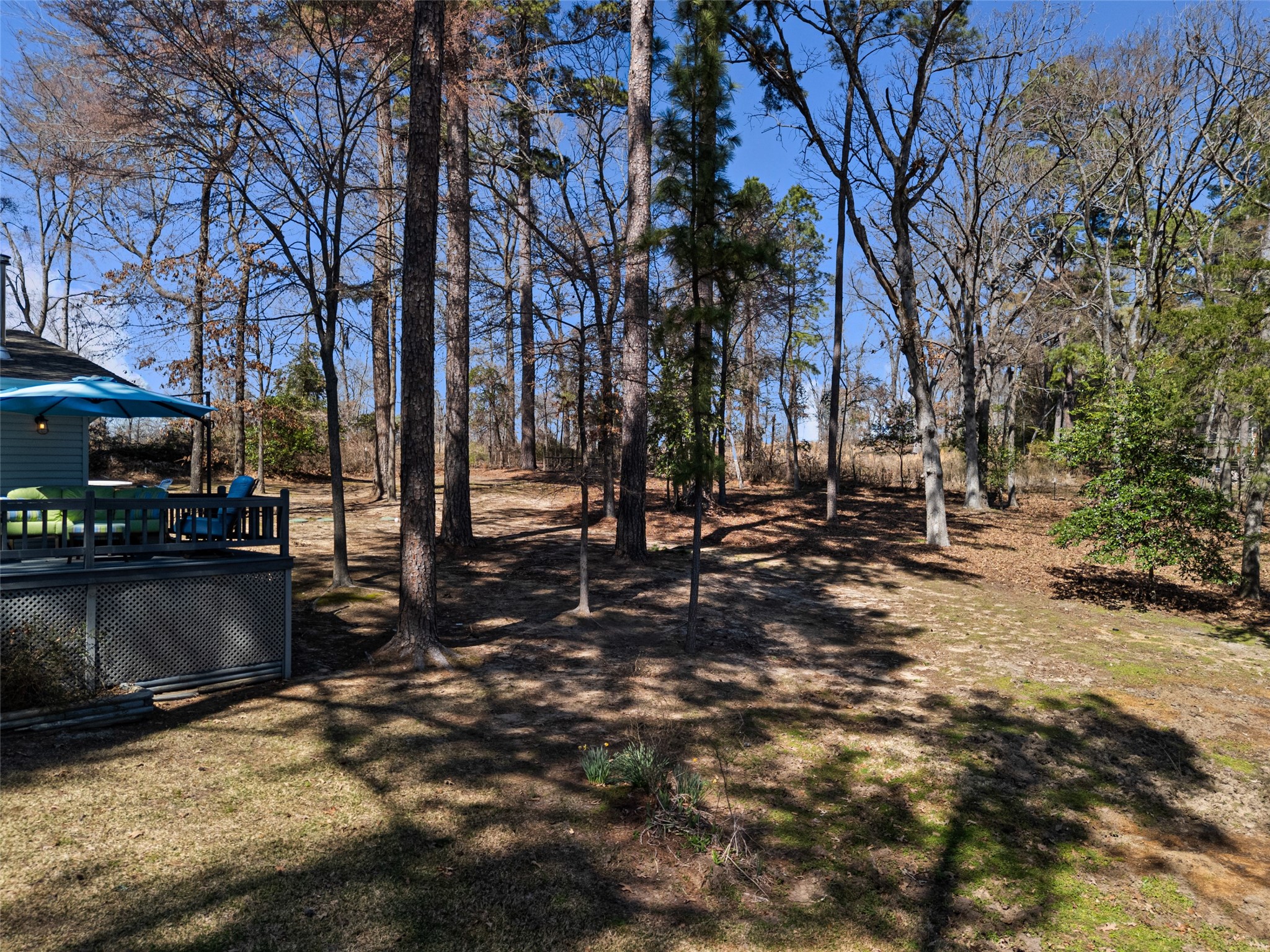 1084 County Road 3230