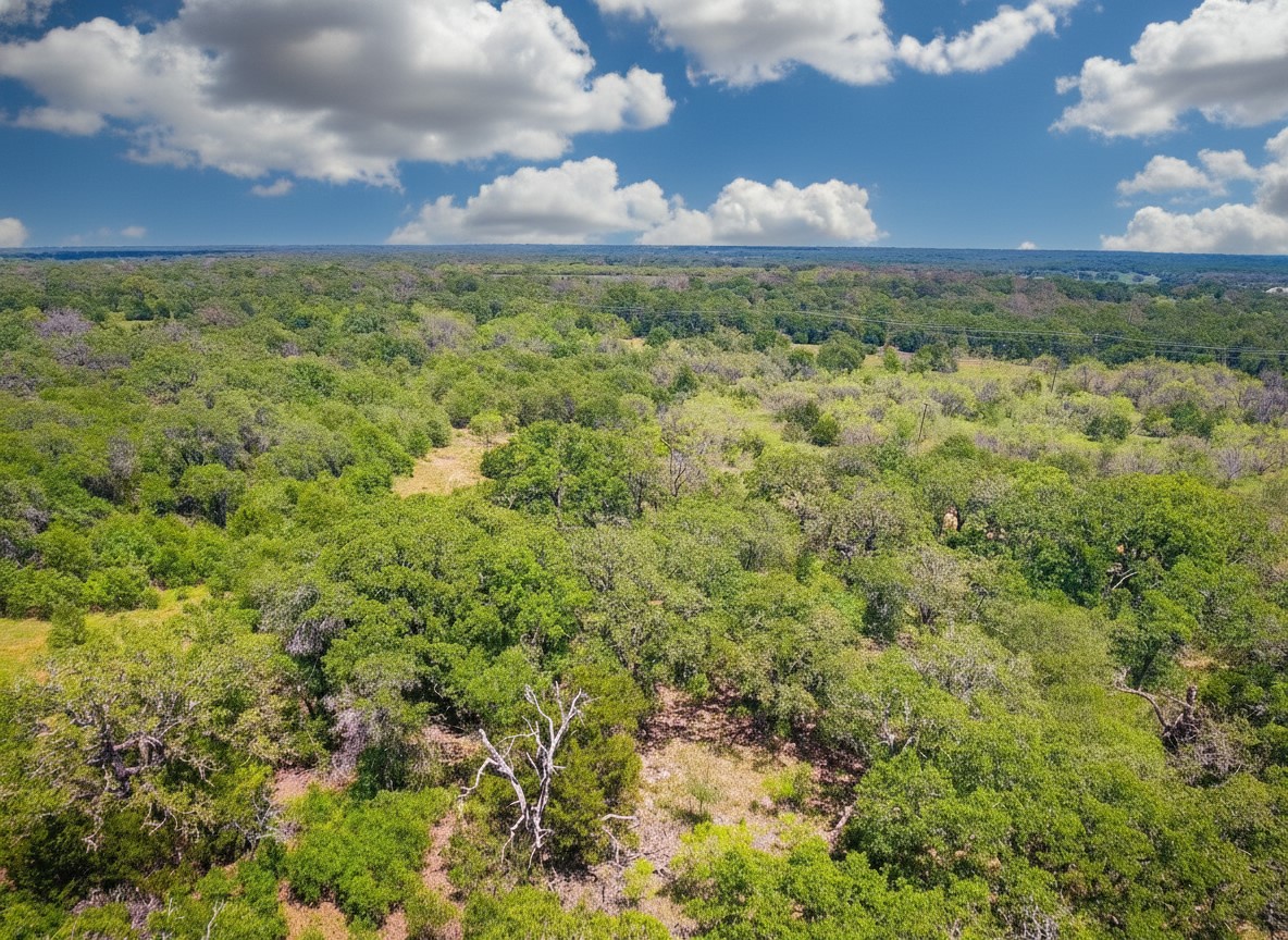 1096 County Road 345