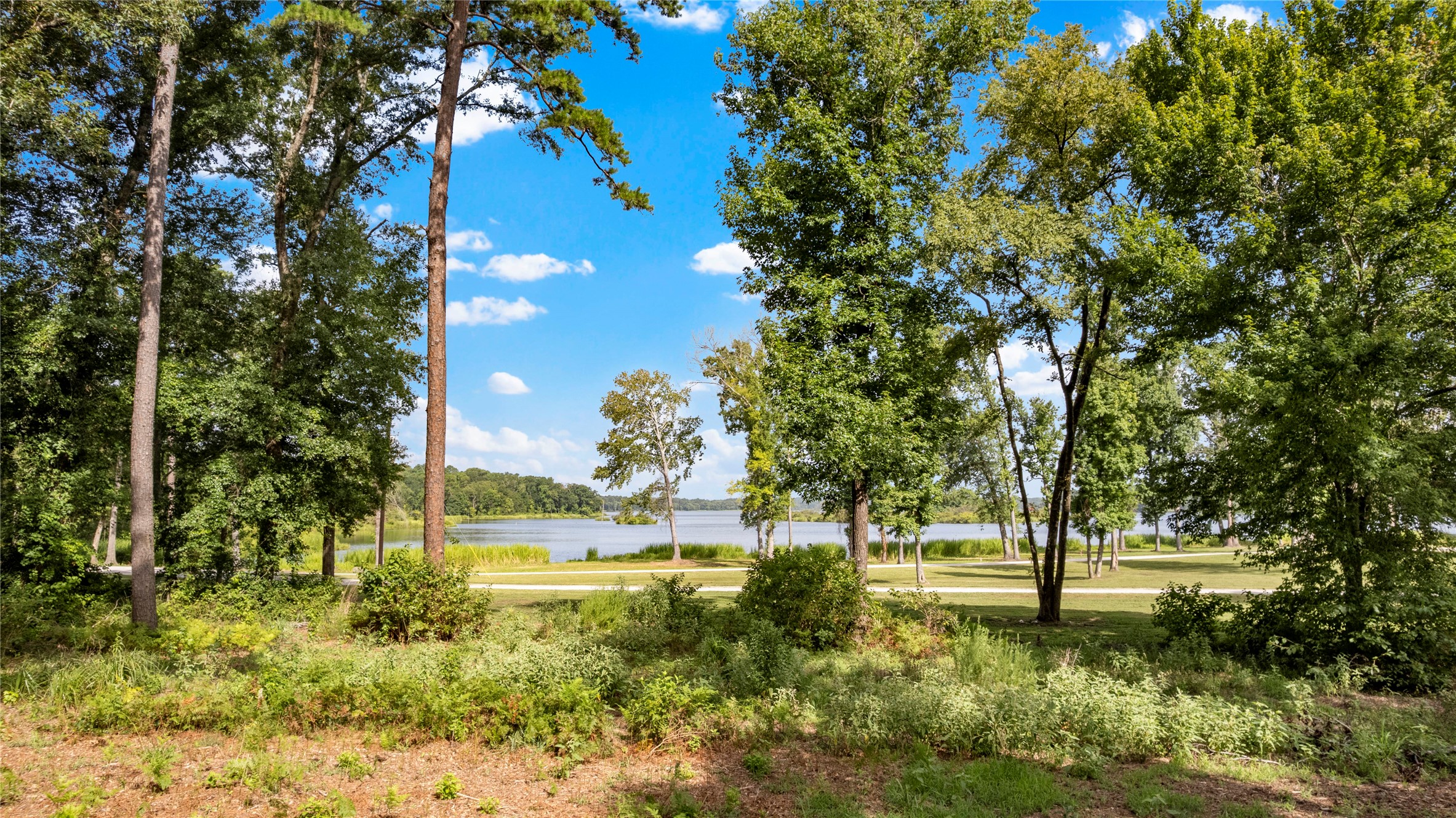 3168 Shadow Pine Drive