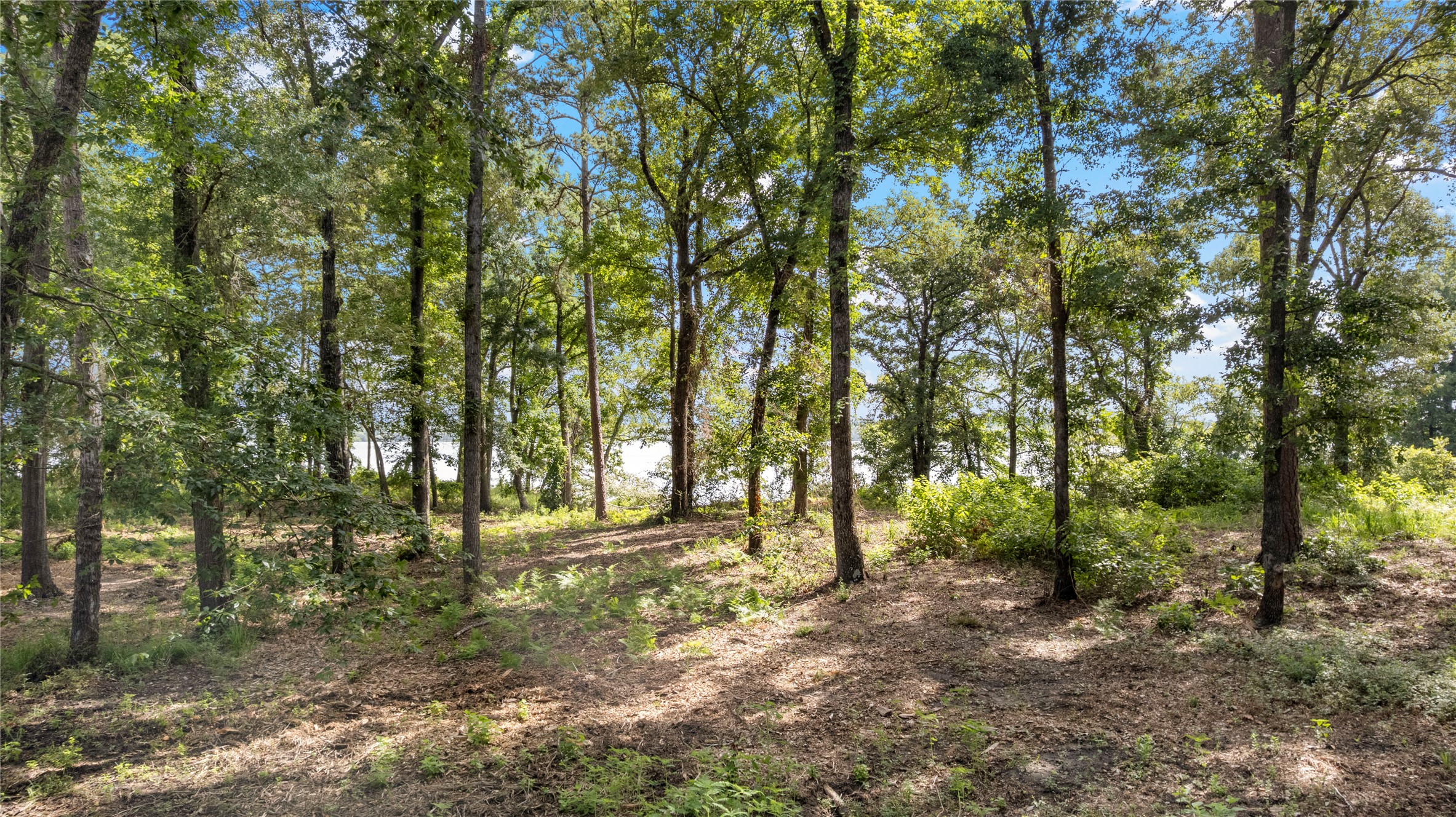 3168 Shadow Pine Drive
