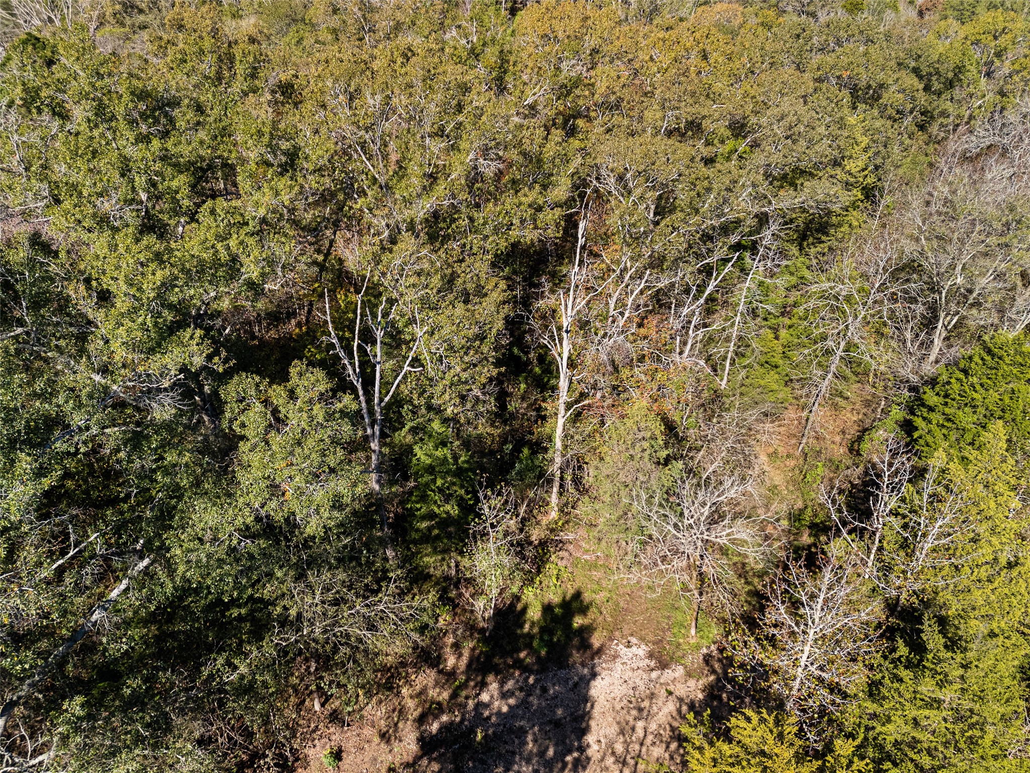 TBD VZ County Road 4815