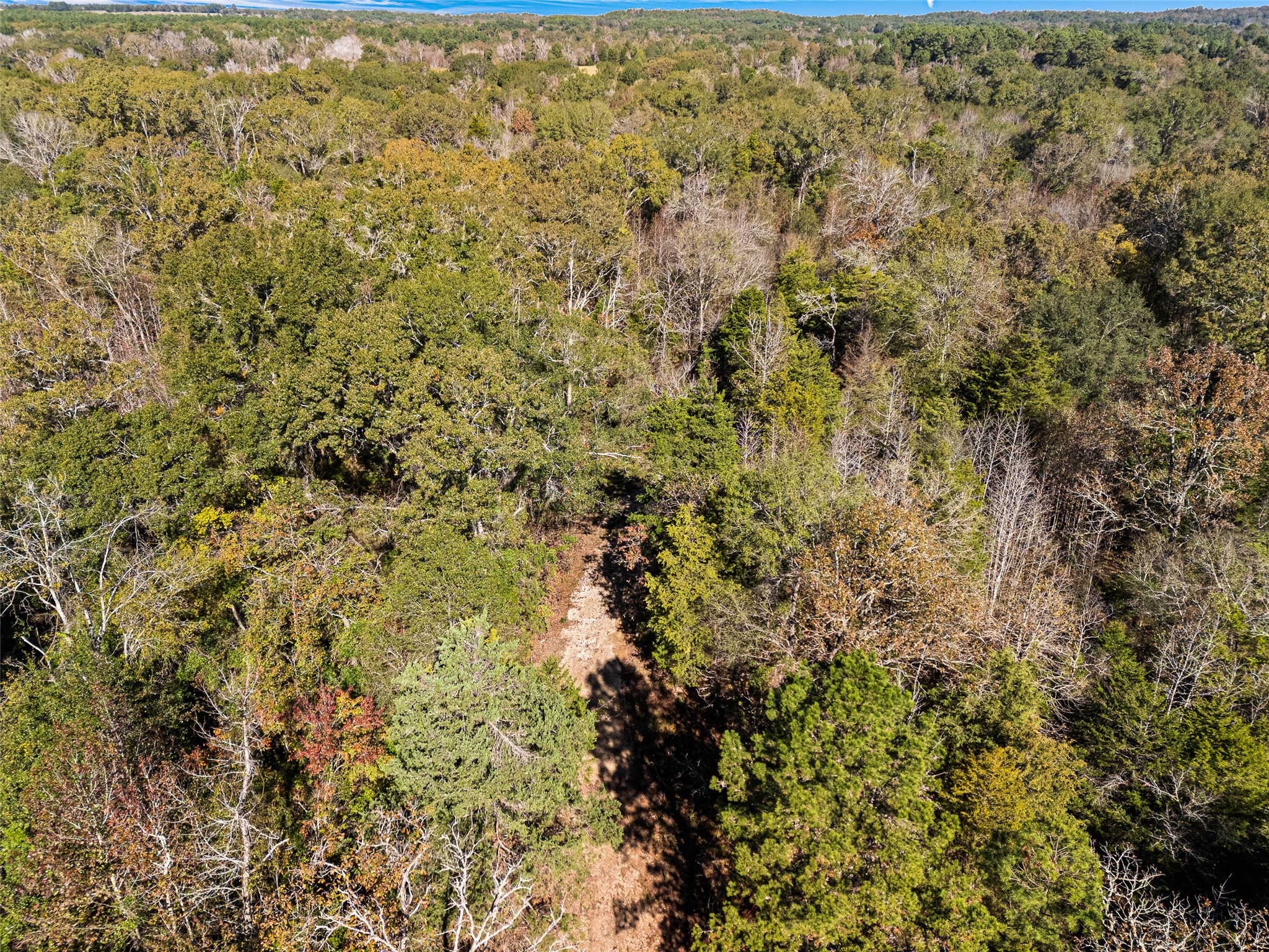 TBD VZ County Road 4815