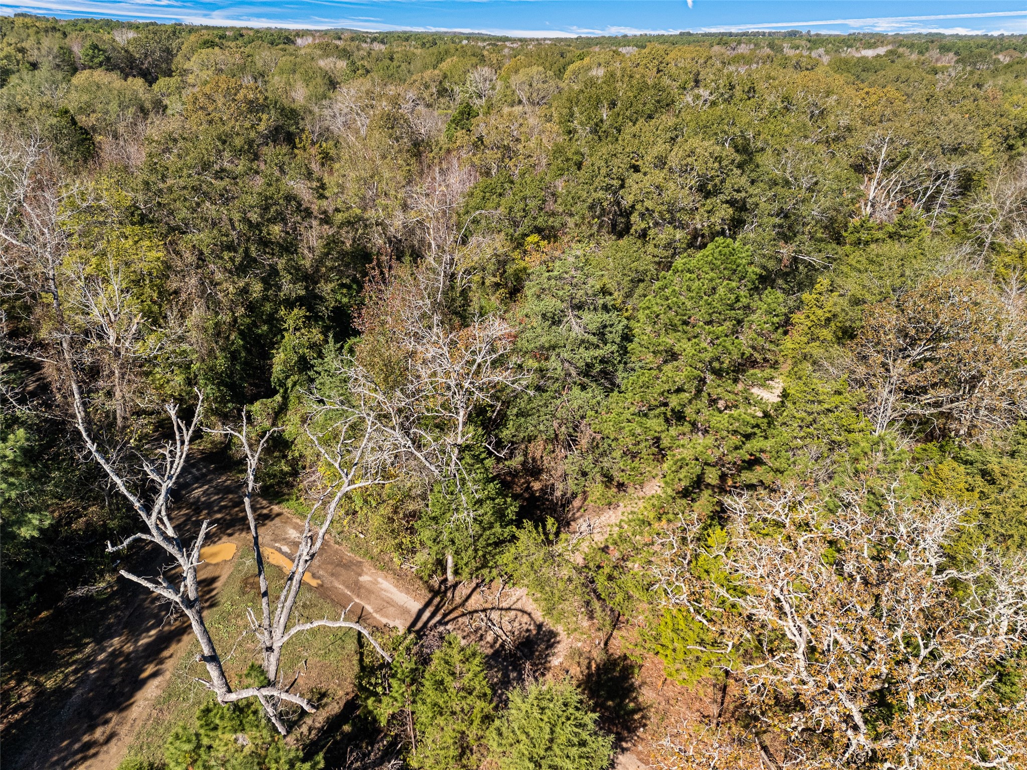 TBD VZ County Road 4815