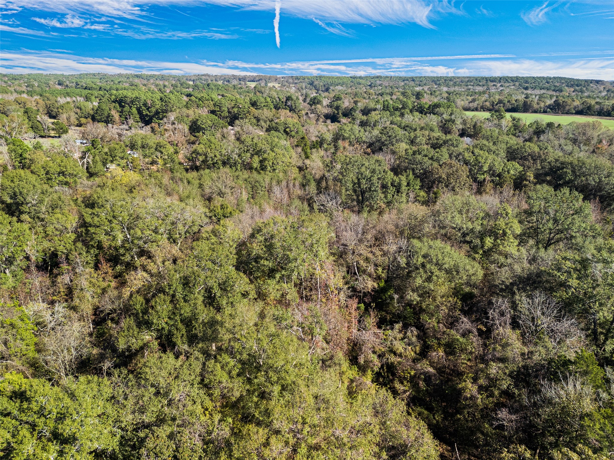 TBD VZ County Road 4815