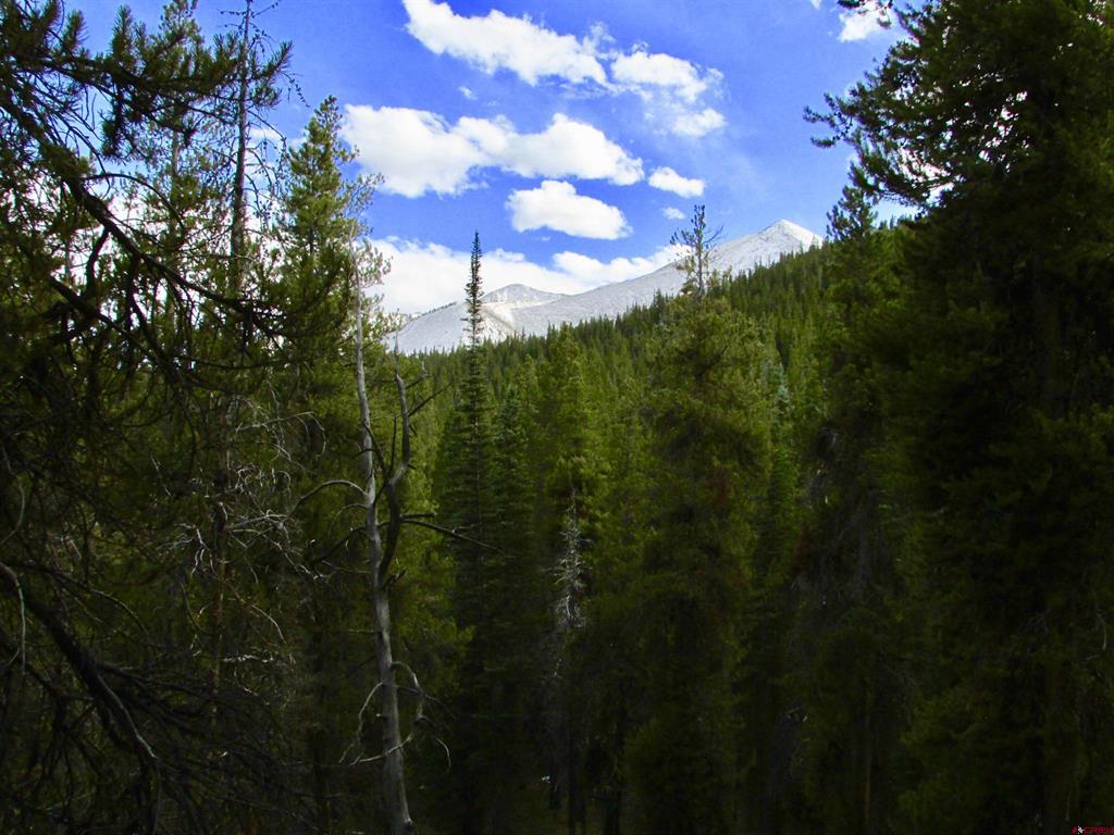 175 Saddle Ridge Road