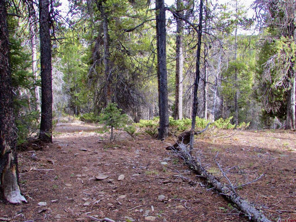 175 Saddle Ridge Road