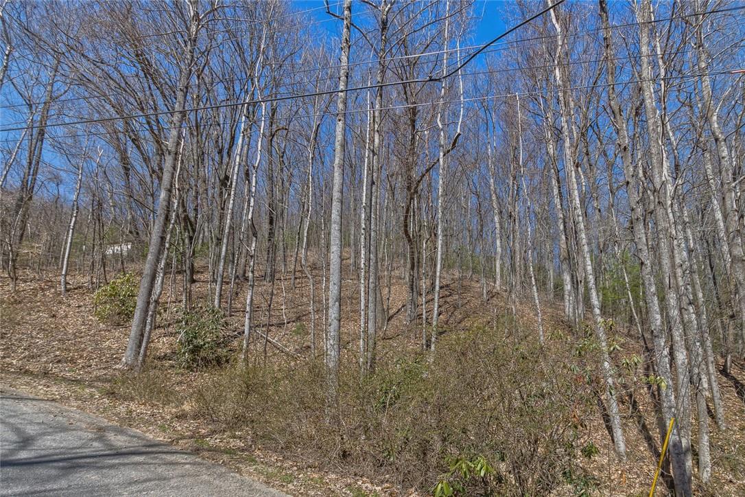 140 Bear Rock Road