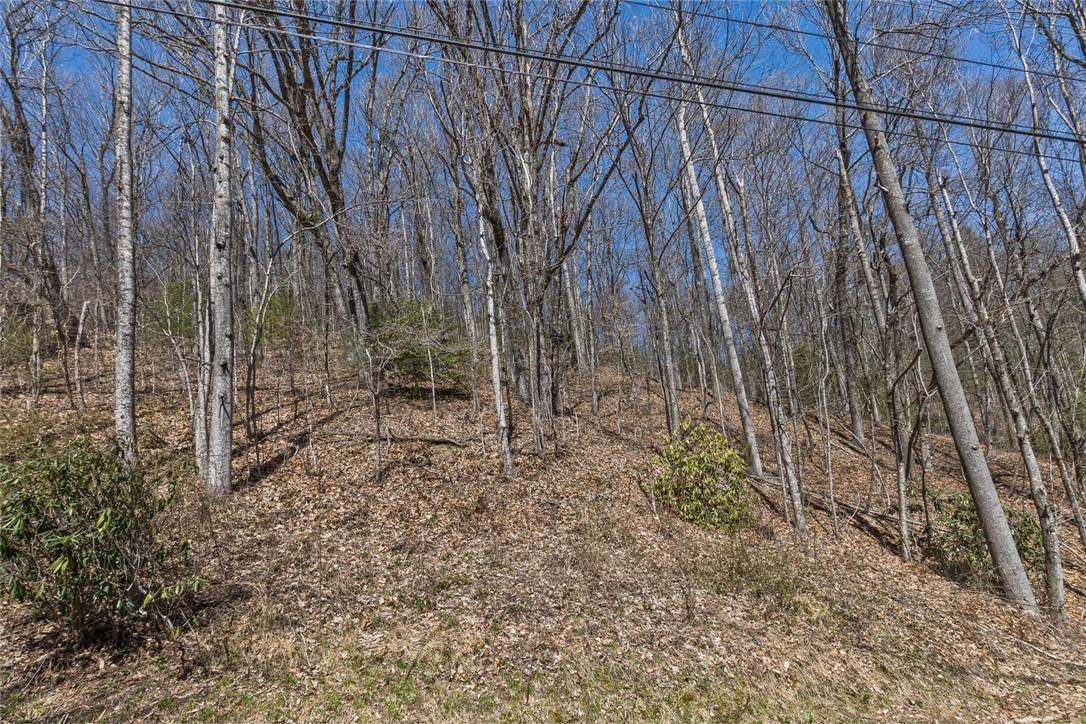 140 Bear Rock Road