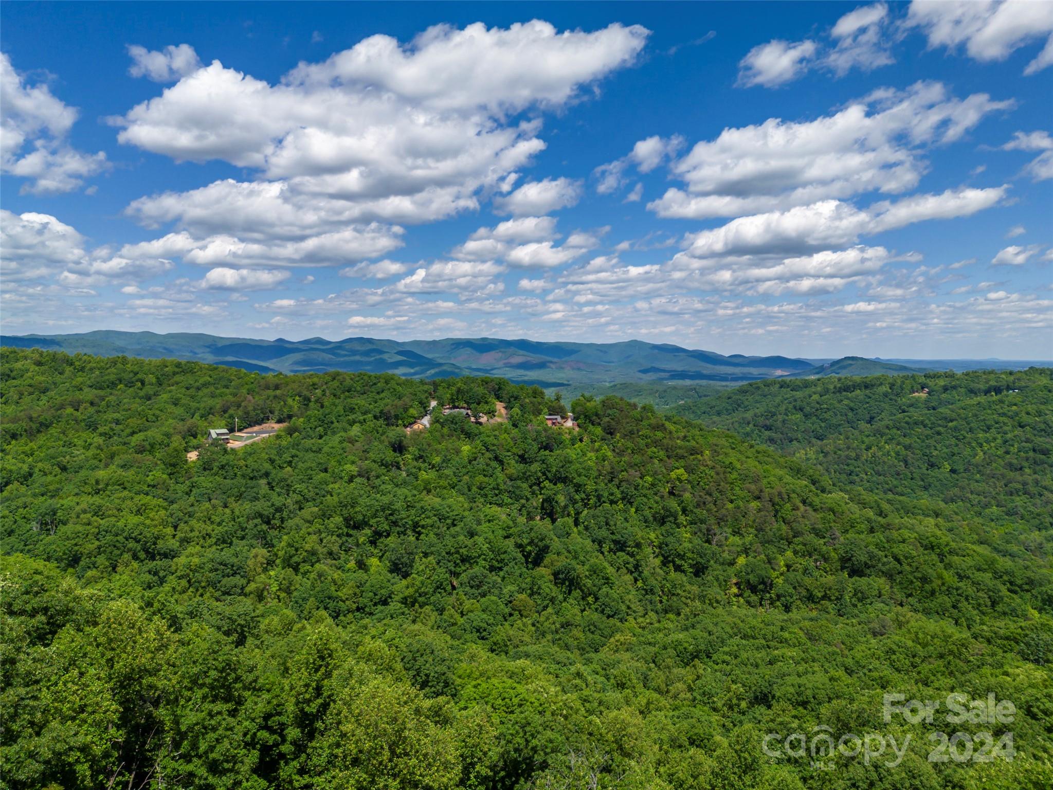 229 Fall Creek Drive