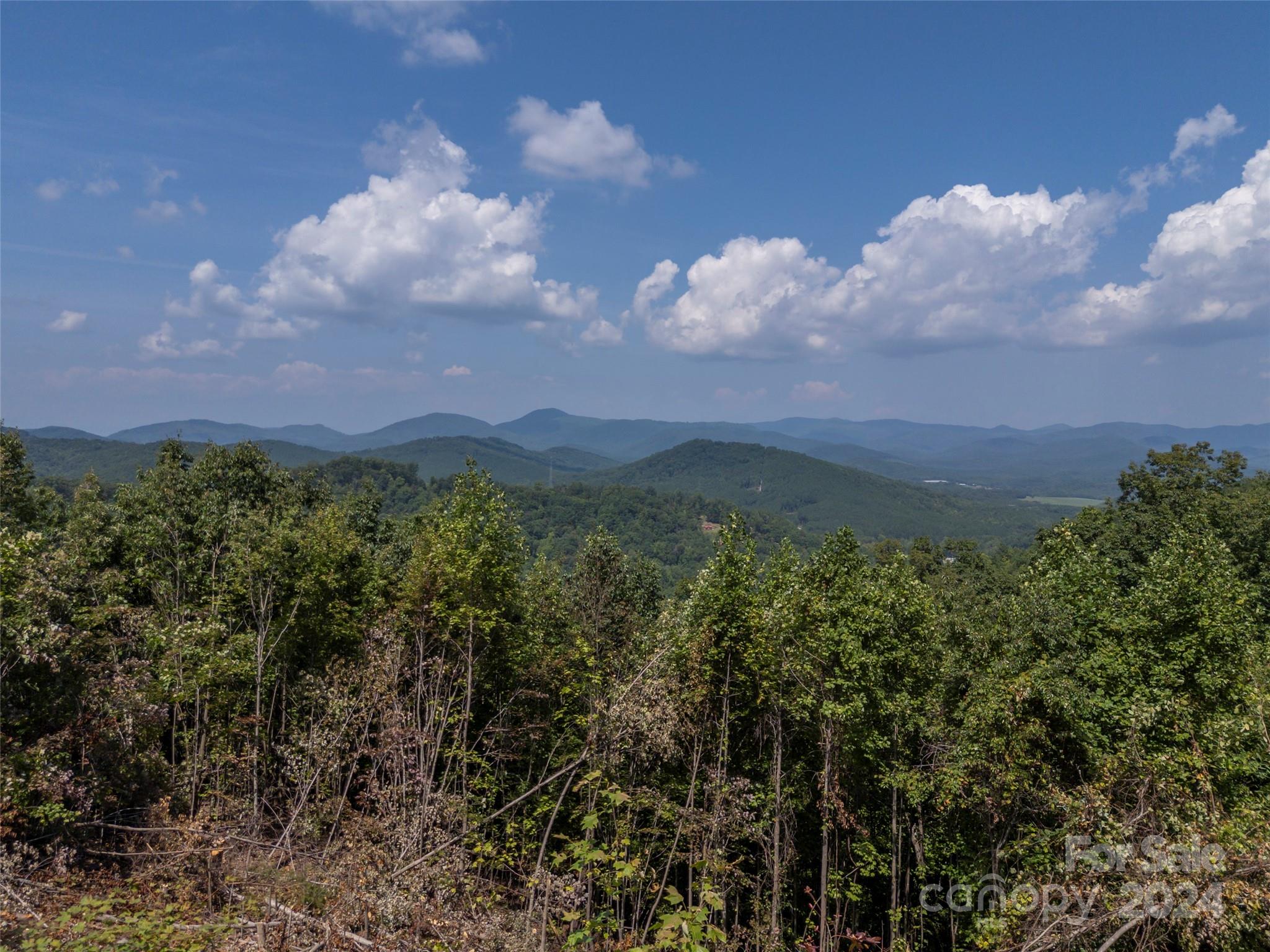 210 Coady Ridge