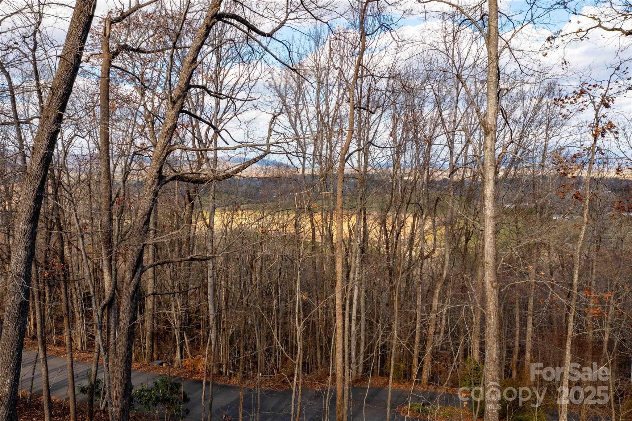 345 Ravenwood Lane
